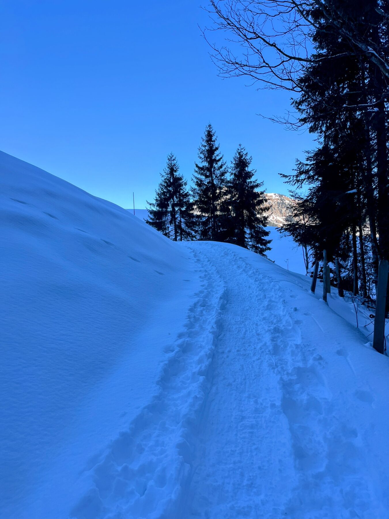 schneeschuhwanderung_wirzweli_arvitrail_chaelenhuette_