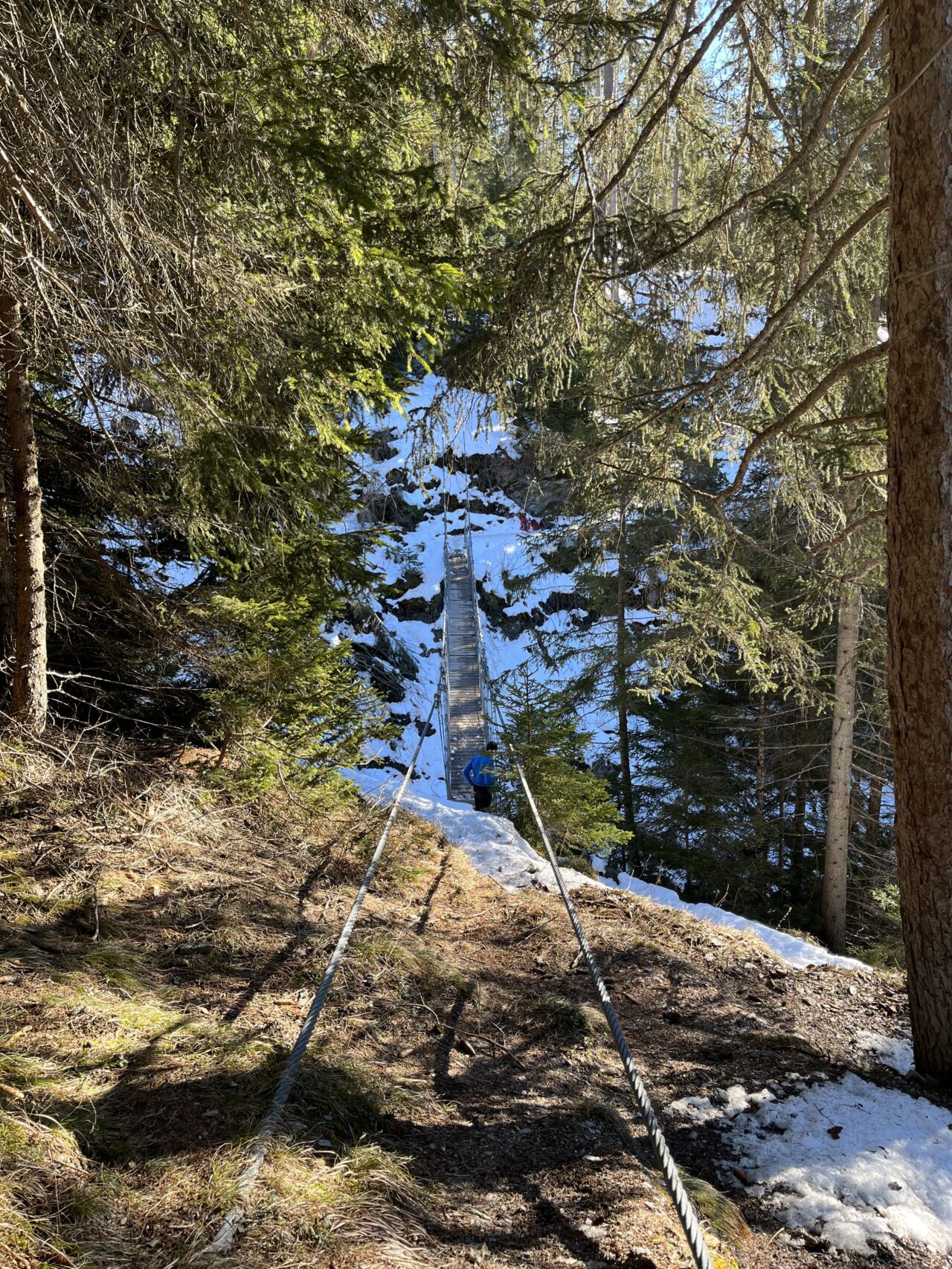 schneeschuhwandern_lantsch__IMG_0302
