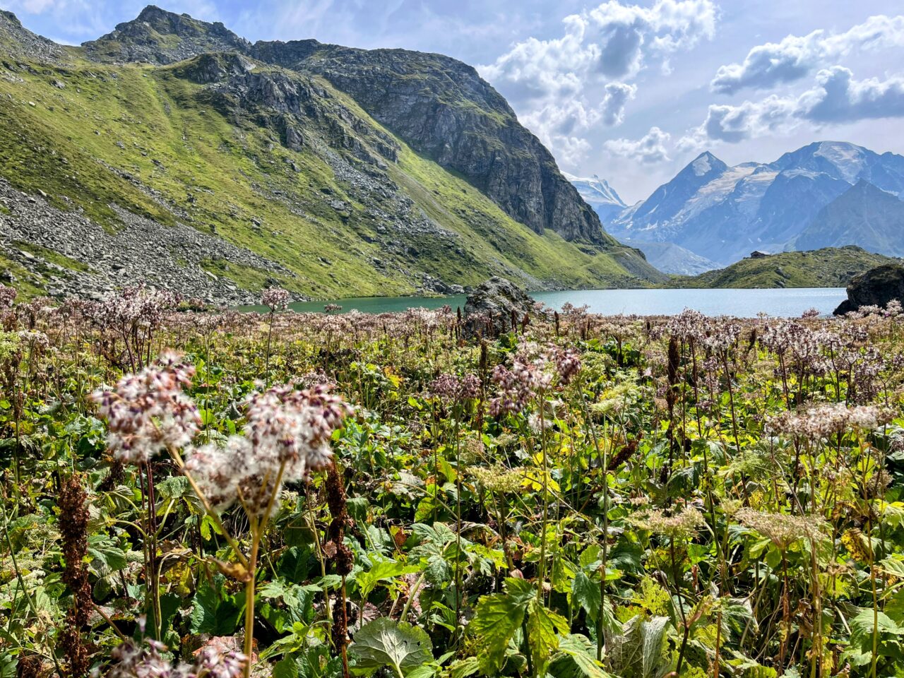 wanderung_alpenpaesseweg_etappe_29_cabane_de_prafleuri_cabane_de_louvie_
