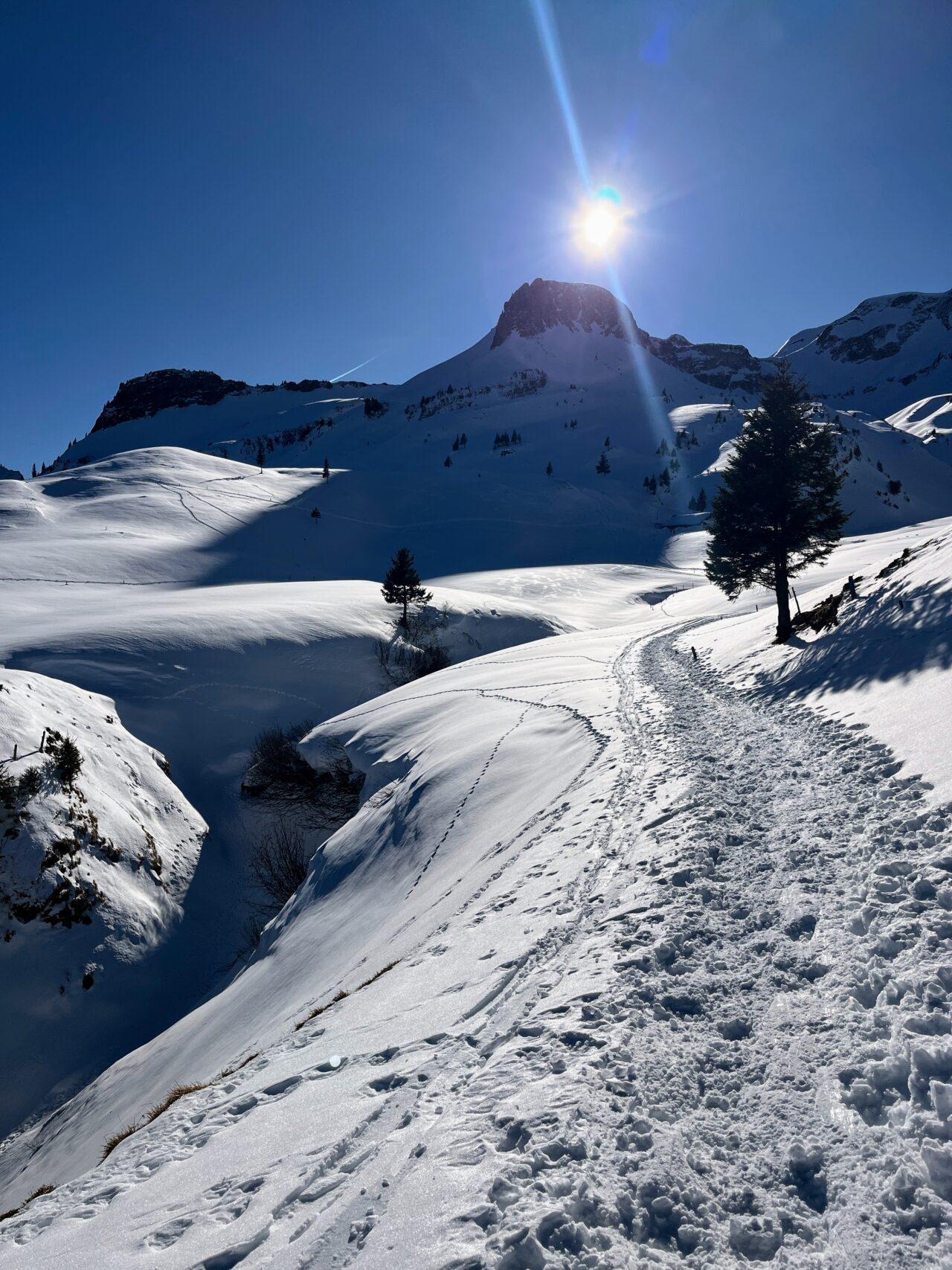 schneeschuhwanderung_wirzweli_arvitrail_chaelenhuette_