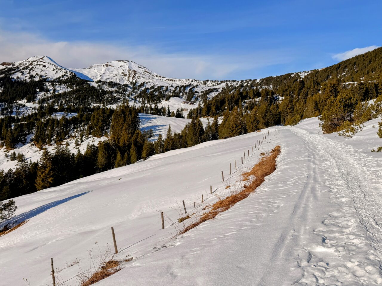schneeschuhwanderung_rickhubel_fürstein__IMG_9403