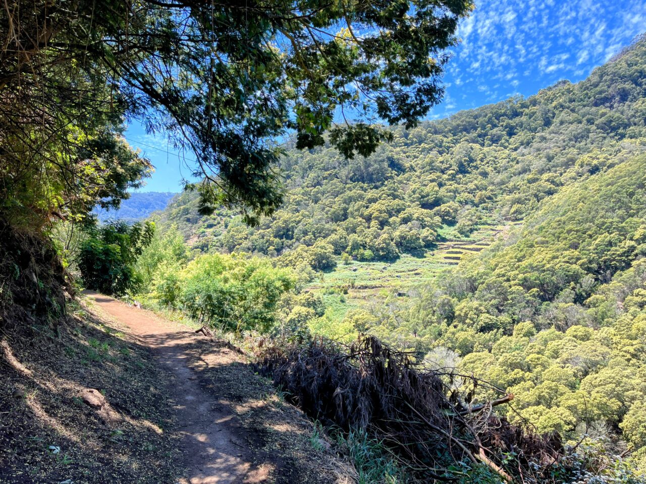 wanderung_madeira_porto_da_cruz_machico_