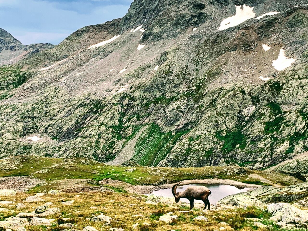 wanderung_tour_du_st_bernard_