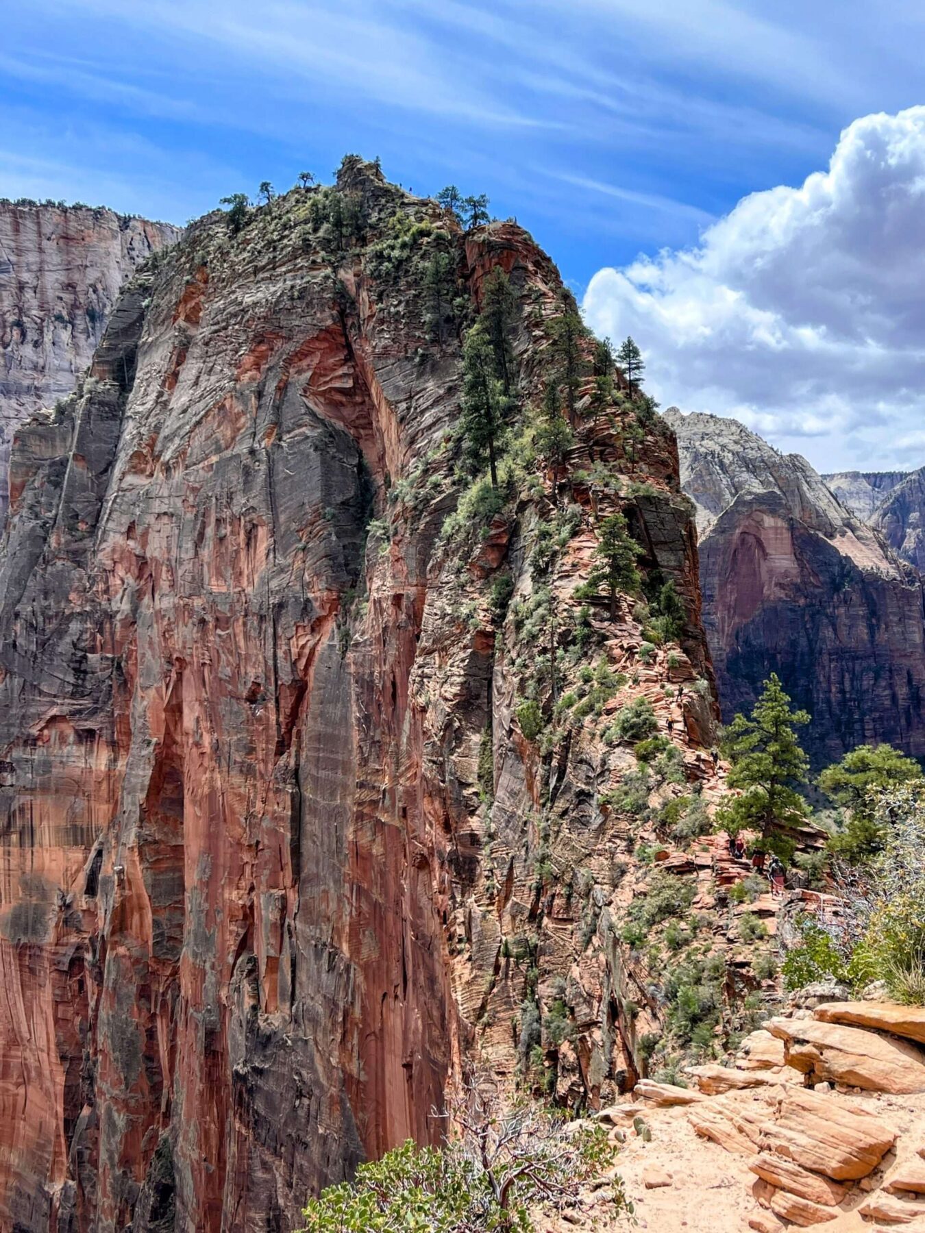 wanderung_zion_nationalpark_angels_landing_