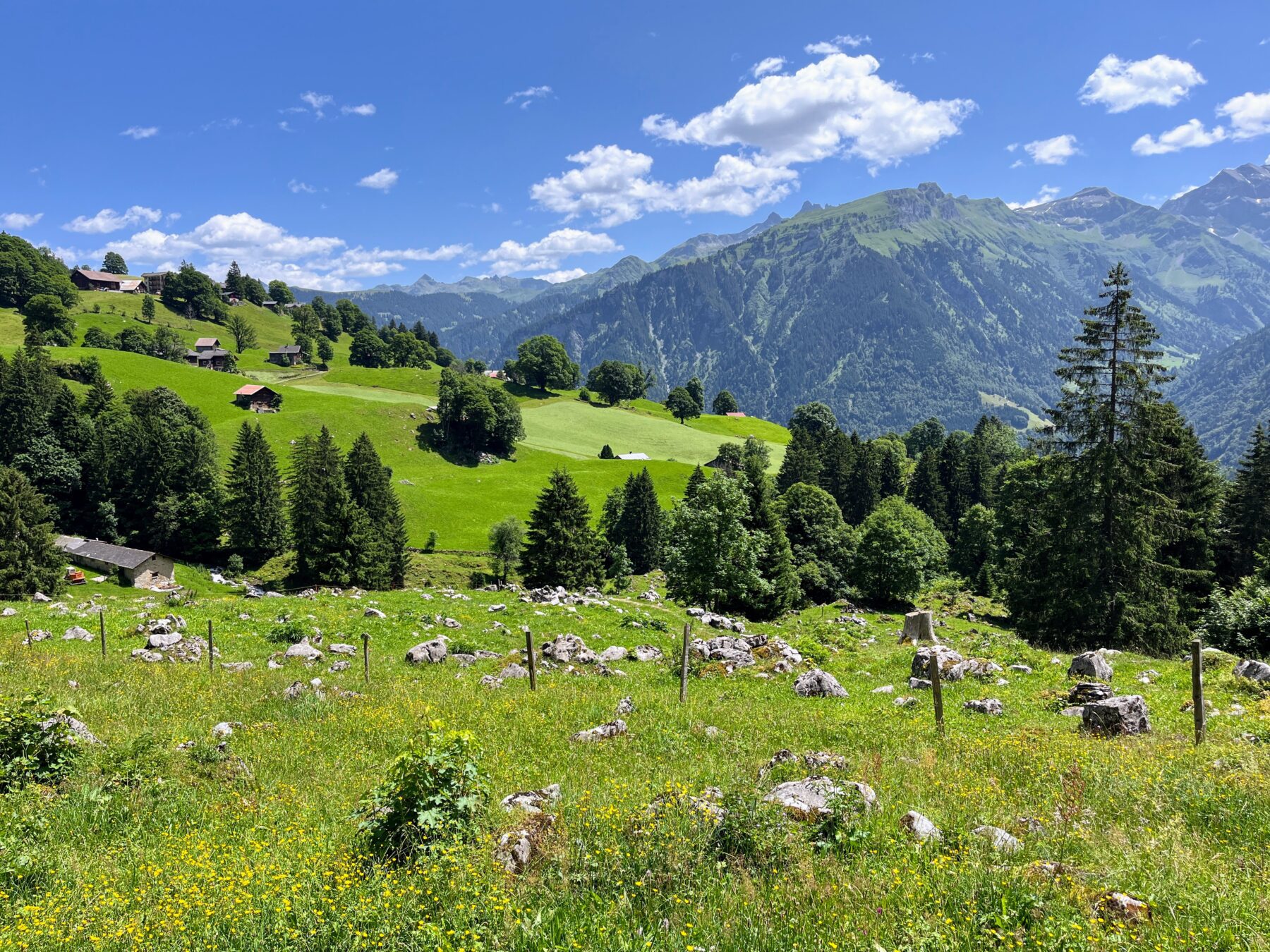Wanderung_Via_alpina_urnerboden_linthal_