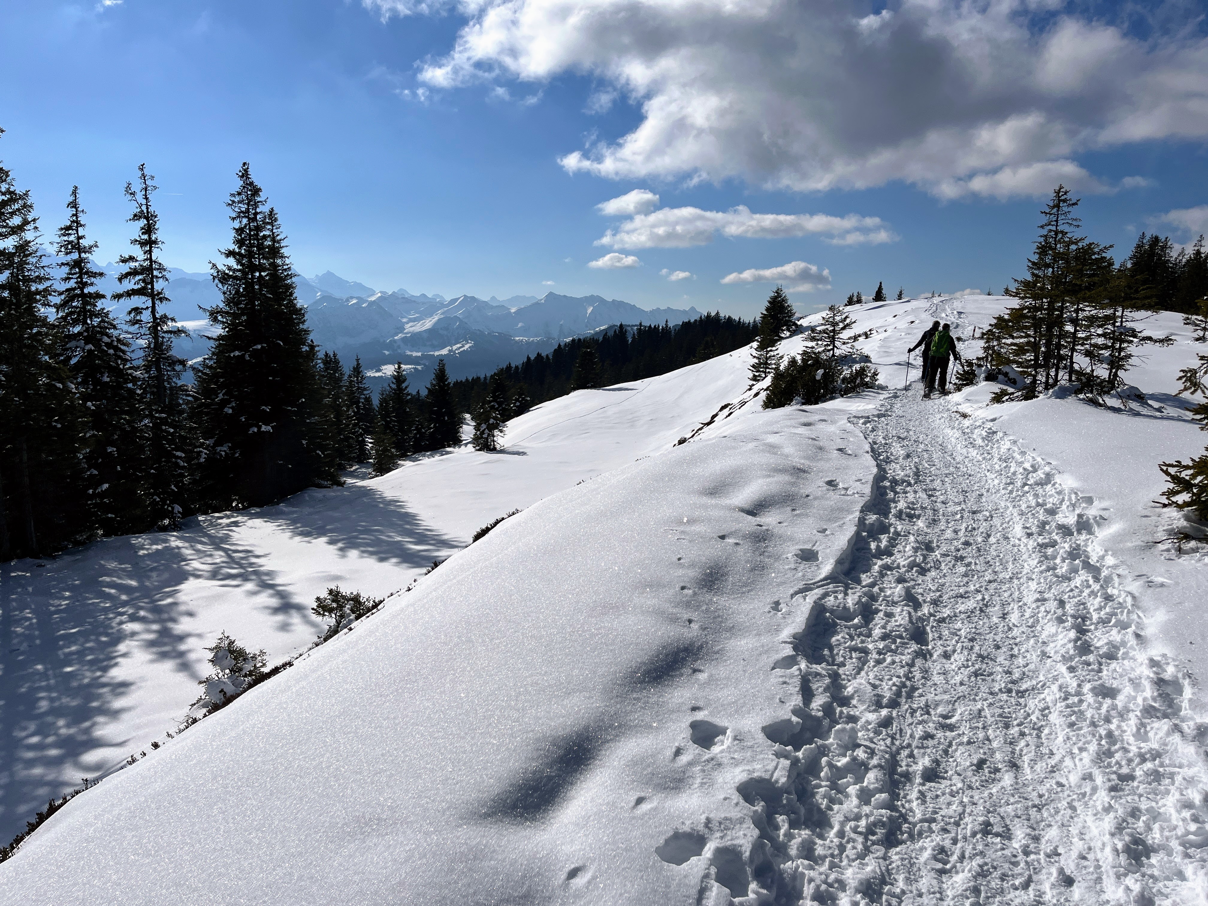 schneeschuhwanderung_jaenzi_