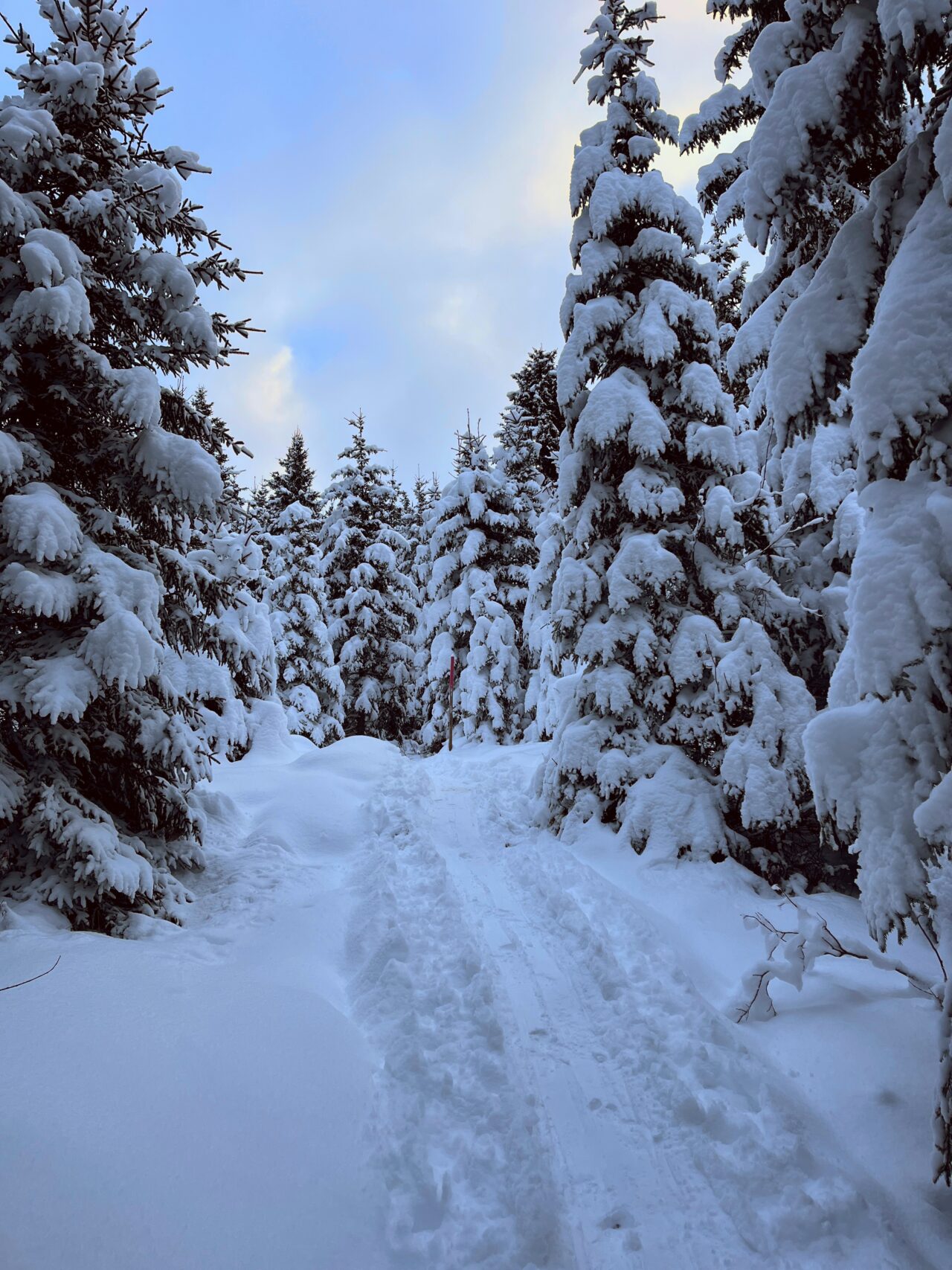 schneeschuhwanderung-furggelenstock-_IMG_9244 (Kopie)