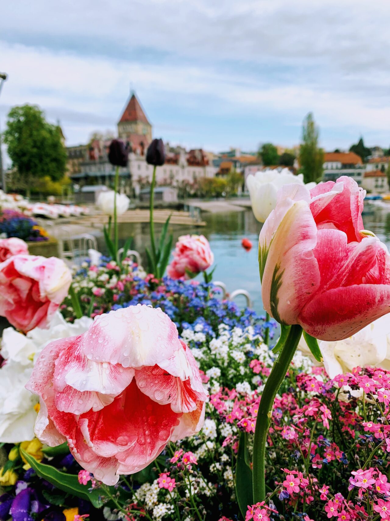 velotour_mittellandroute_lausanne_vevey__IMG_7792