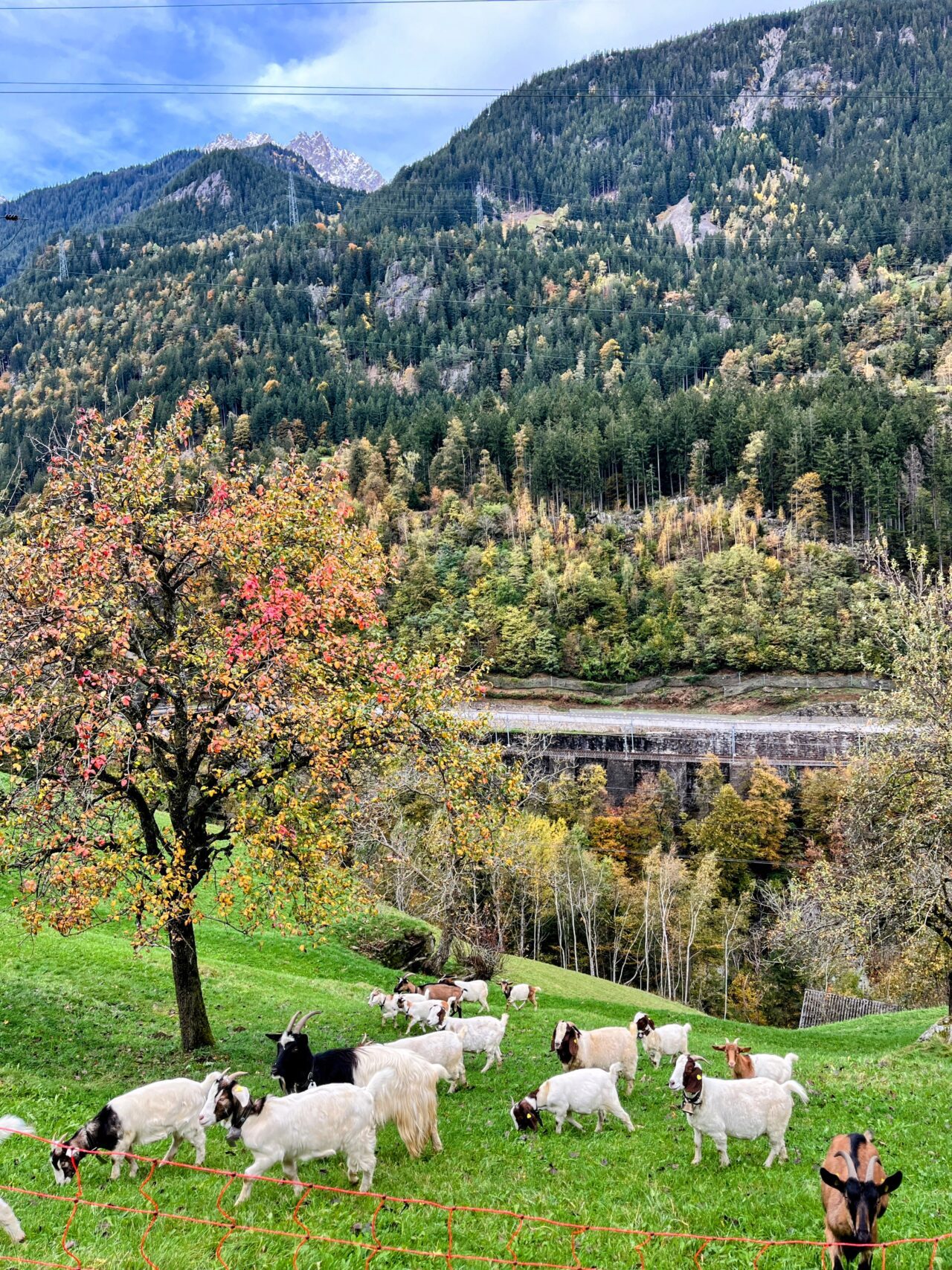 wanderung_trans_swiss_trail_amsteg_andermatt_