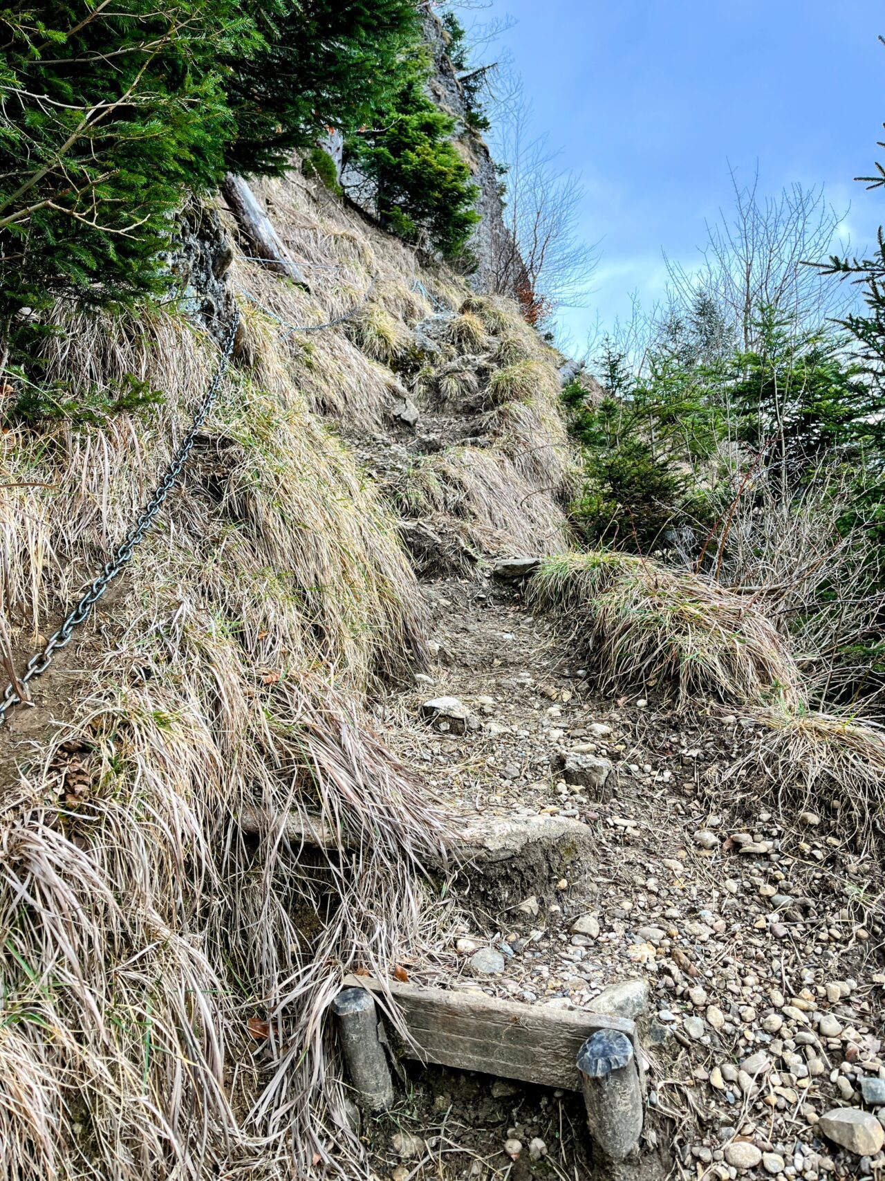 wanderung_gnipen_wildspitz_