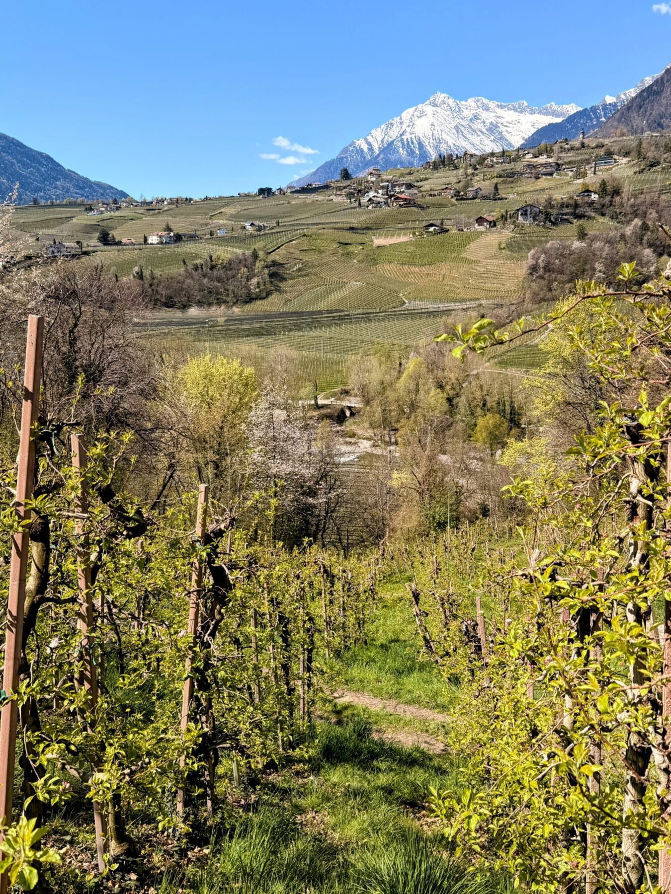 wanderung_maiser_waalweg_tappeinerweg_dorf_tirol_