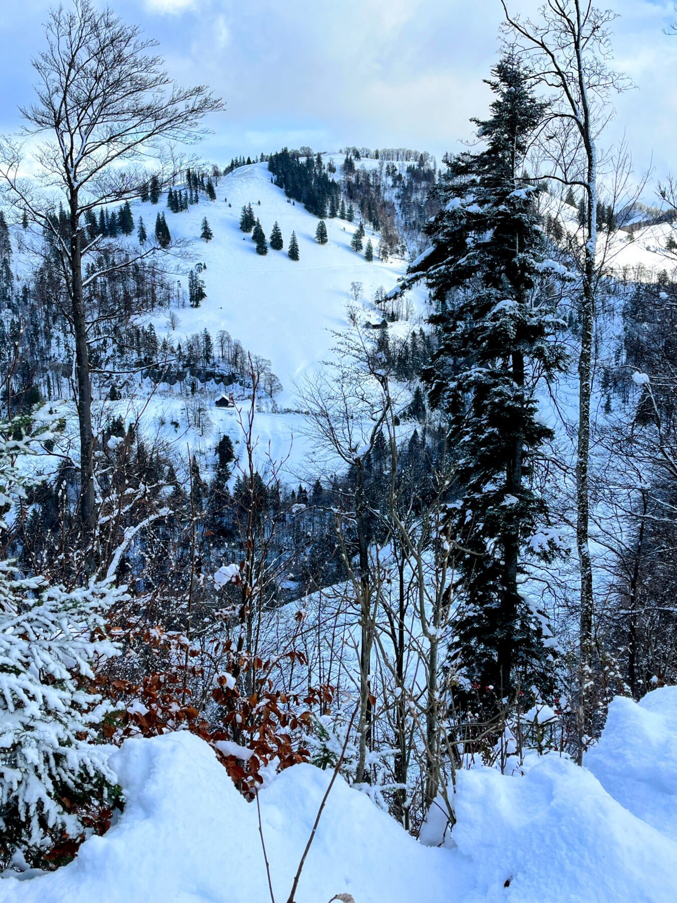 schneeschuhwanderung_schnebelhorn__IMG_2484