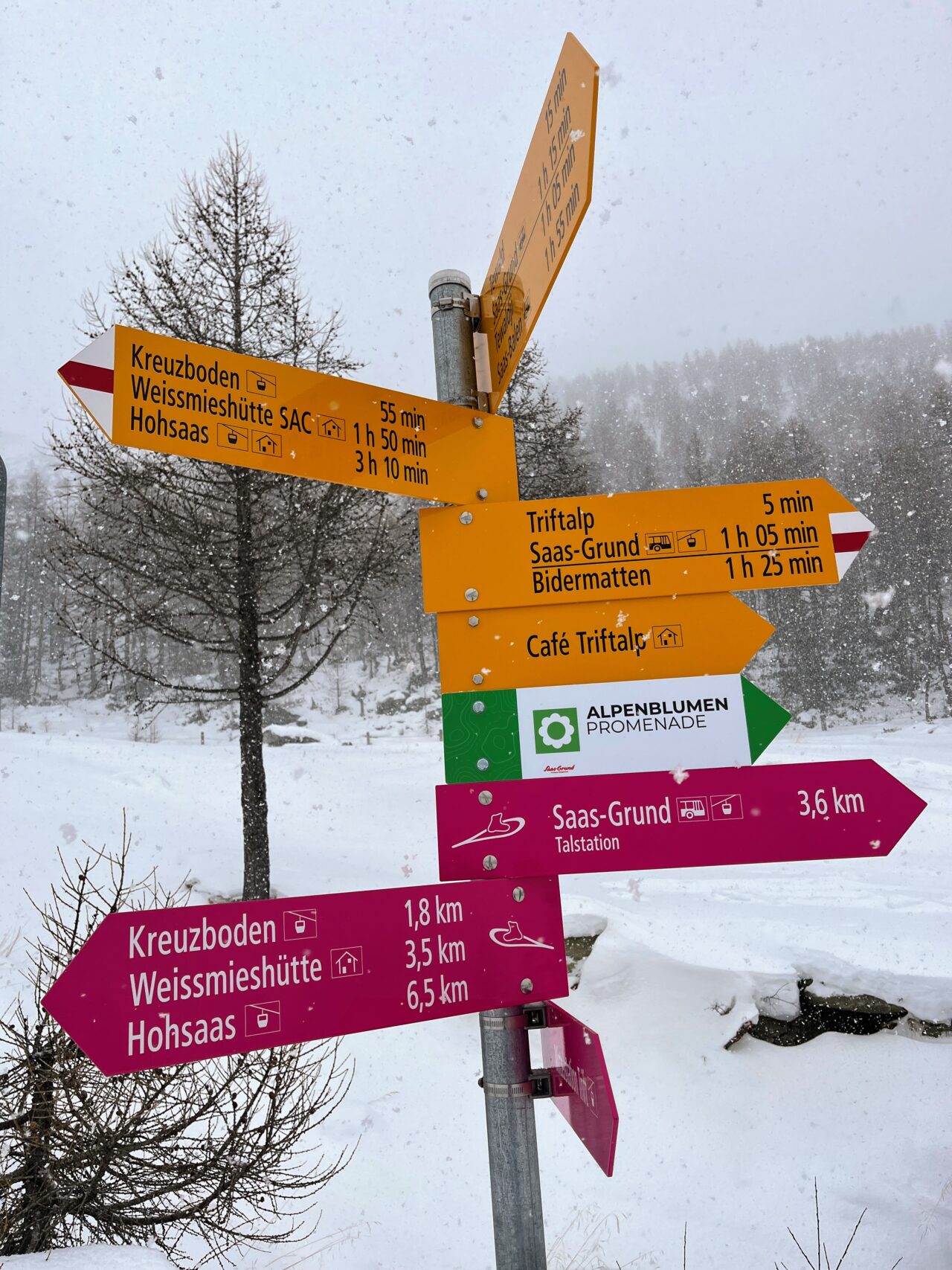 schneeschuhtour-weissmies-hohsaas-_IMG_8838