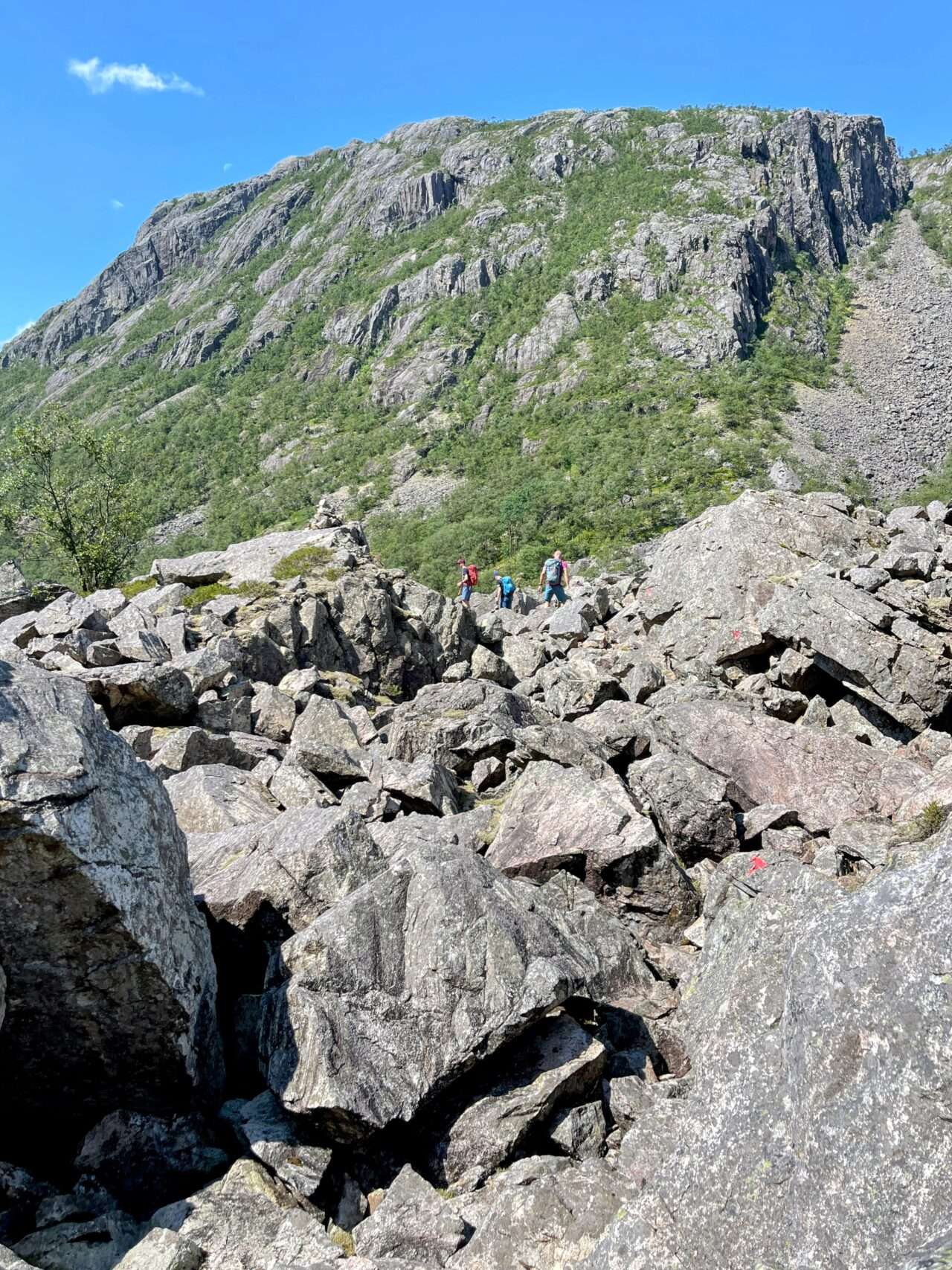 wanderung_eikeskog_blafjellenden_