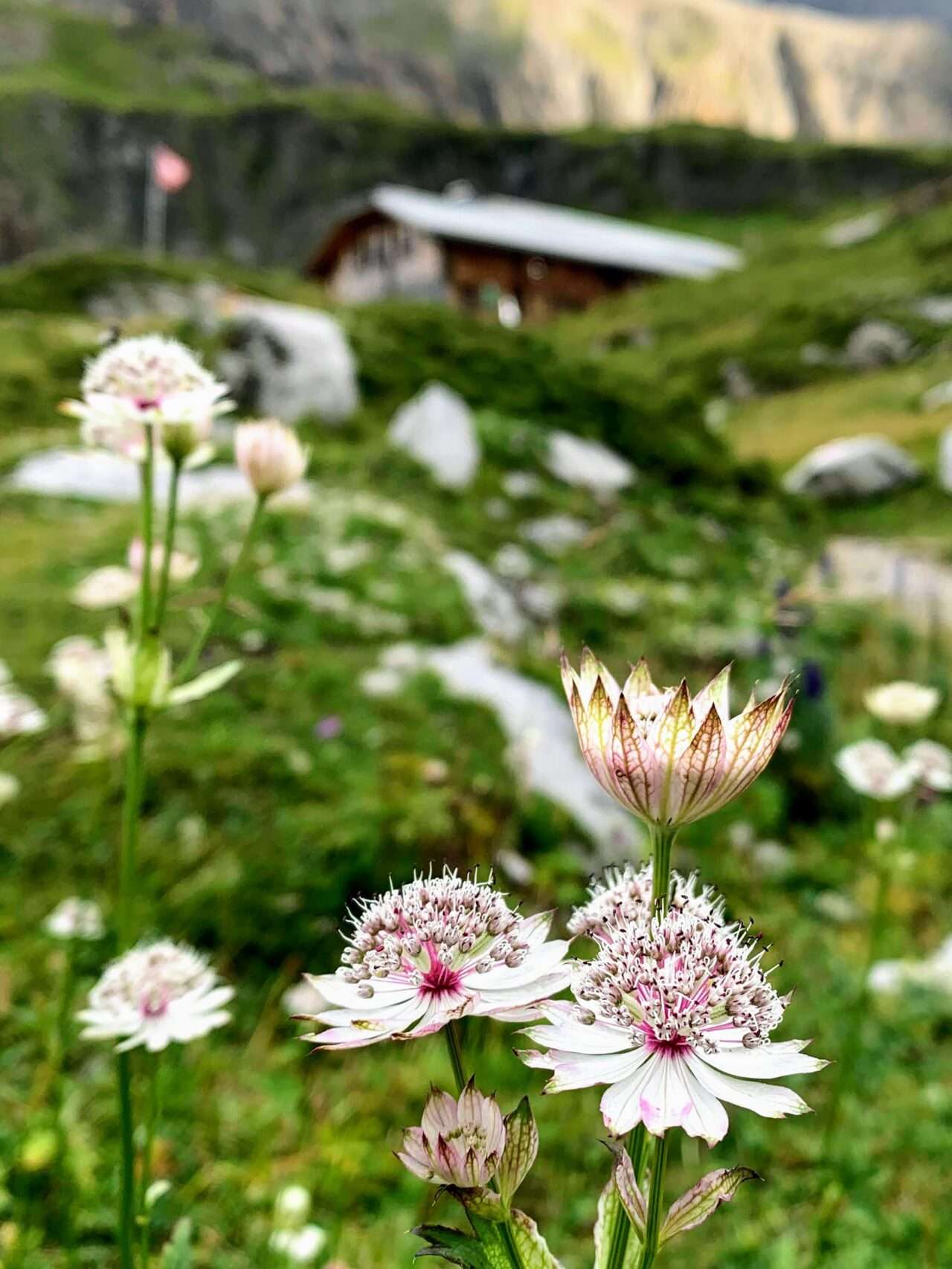 wanderung_tour_du_wildhorn_