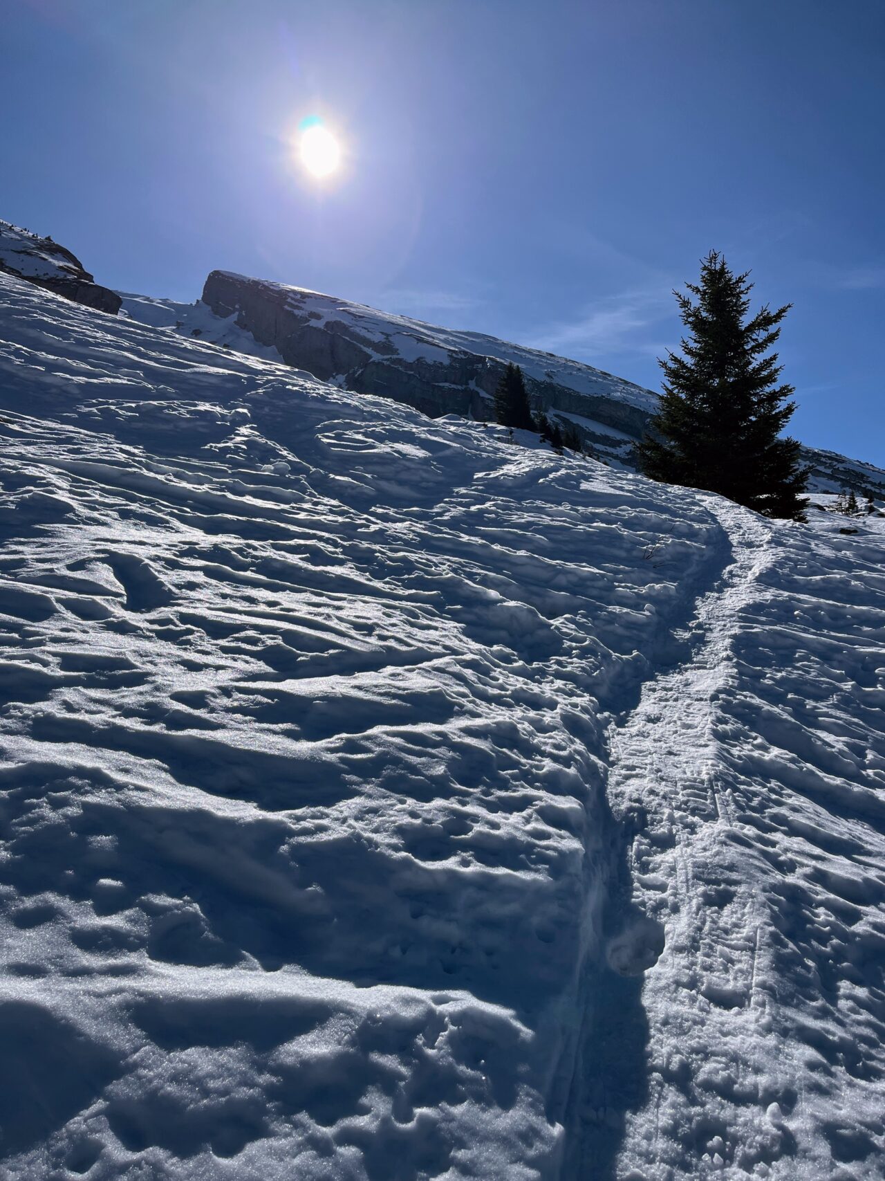schneeschuhwanderung-brisenhaus-_IMG_0215