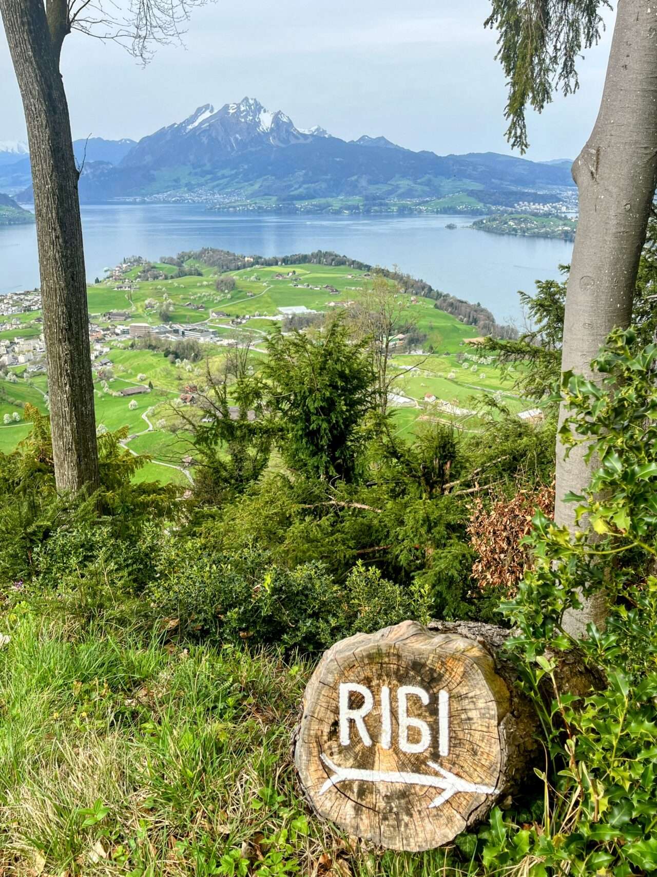wanderung_weggis_rigi_