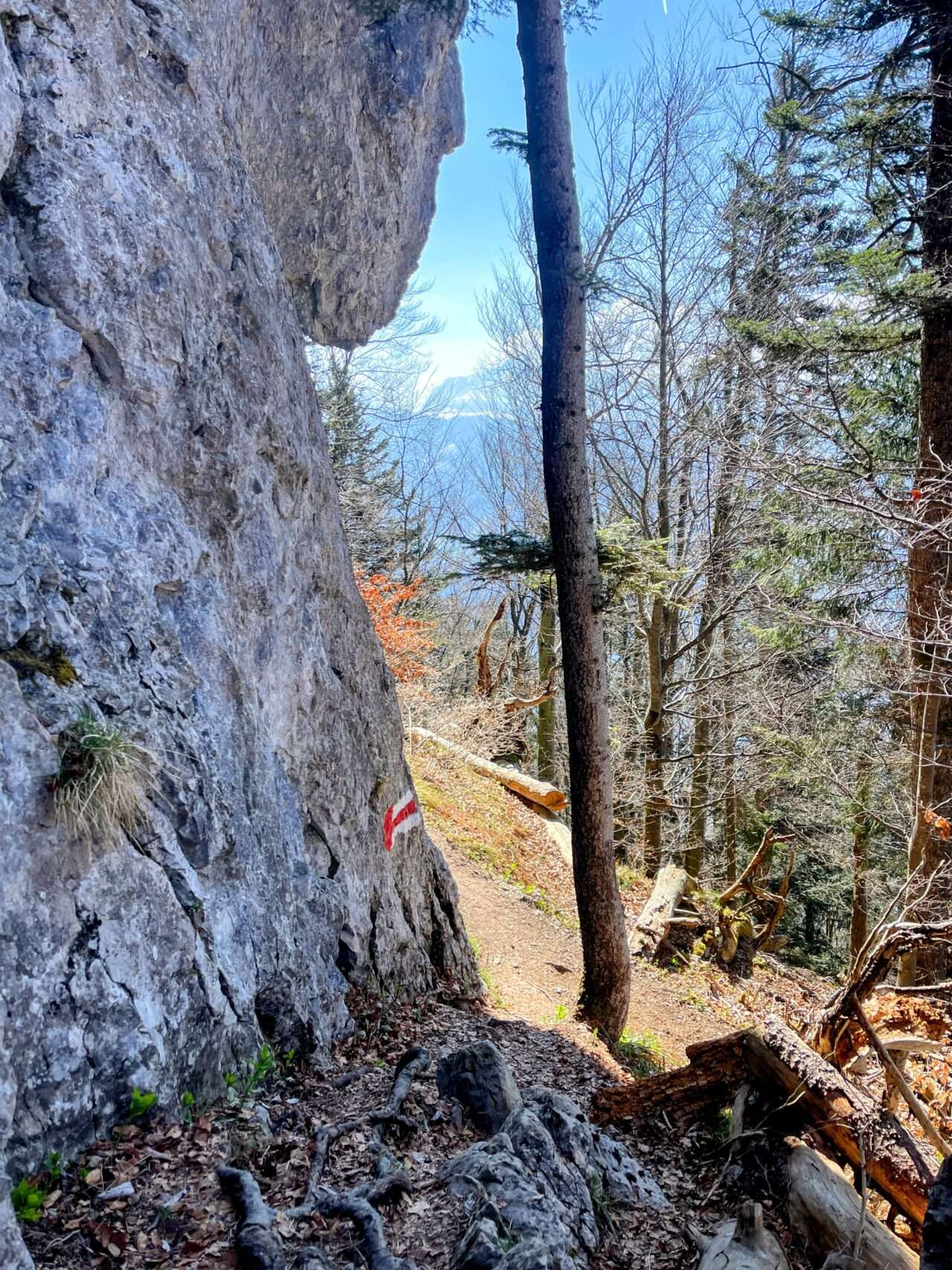 wanderung_vitznau_gersauerstock_vitznauerstock_