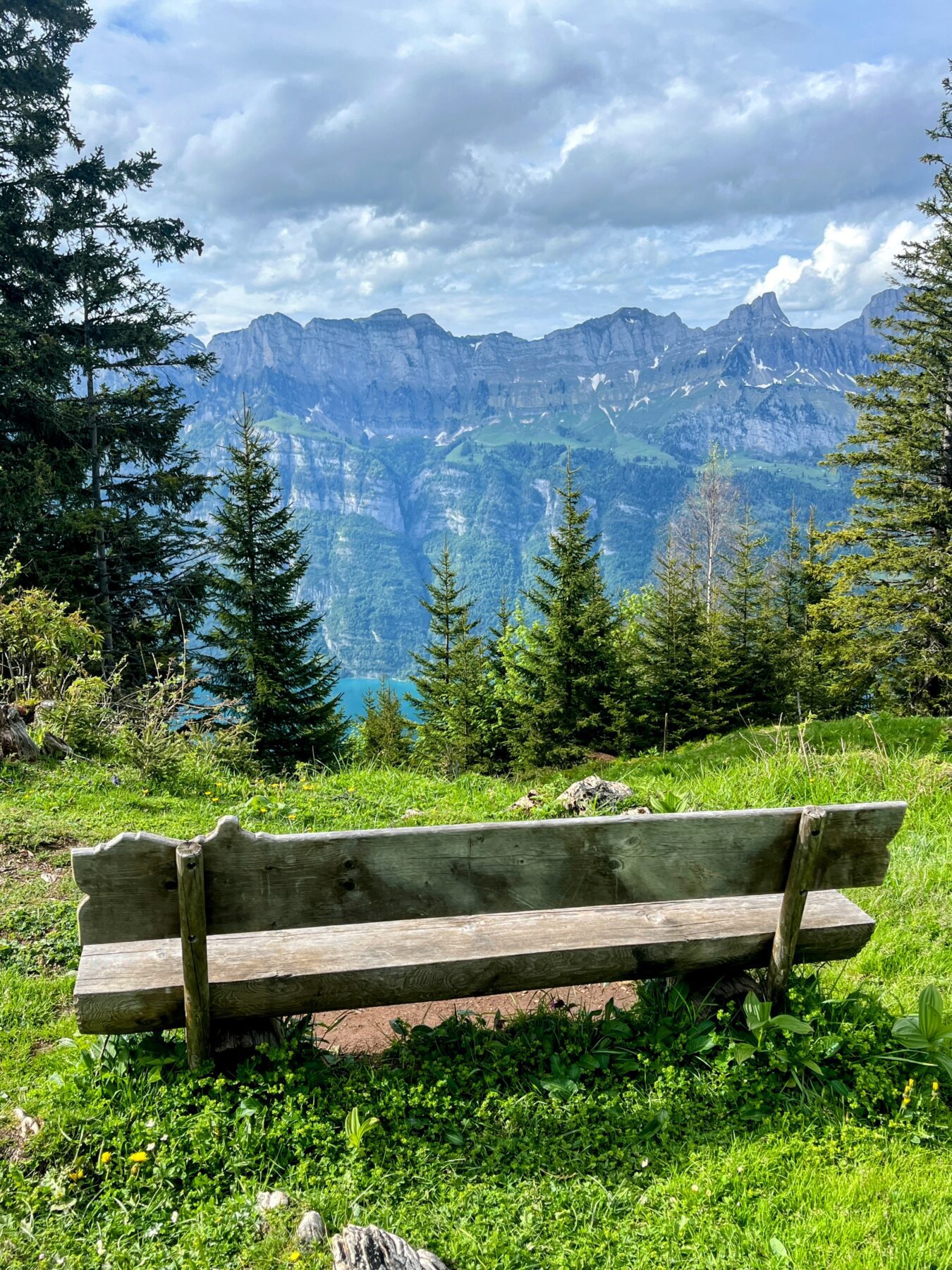 wanderung_unterterzen_tannenboden_