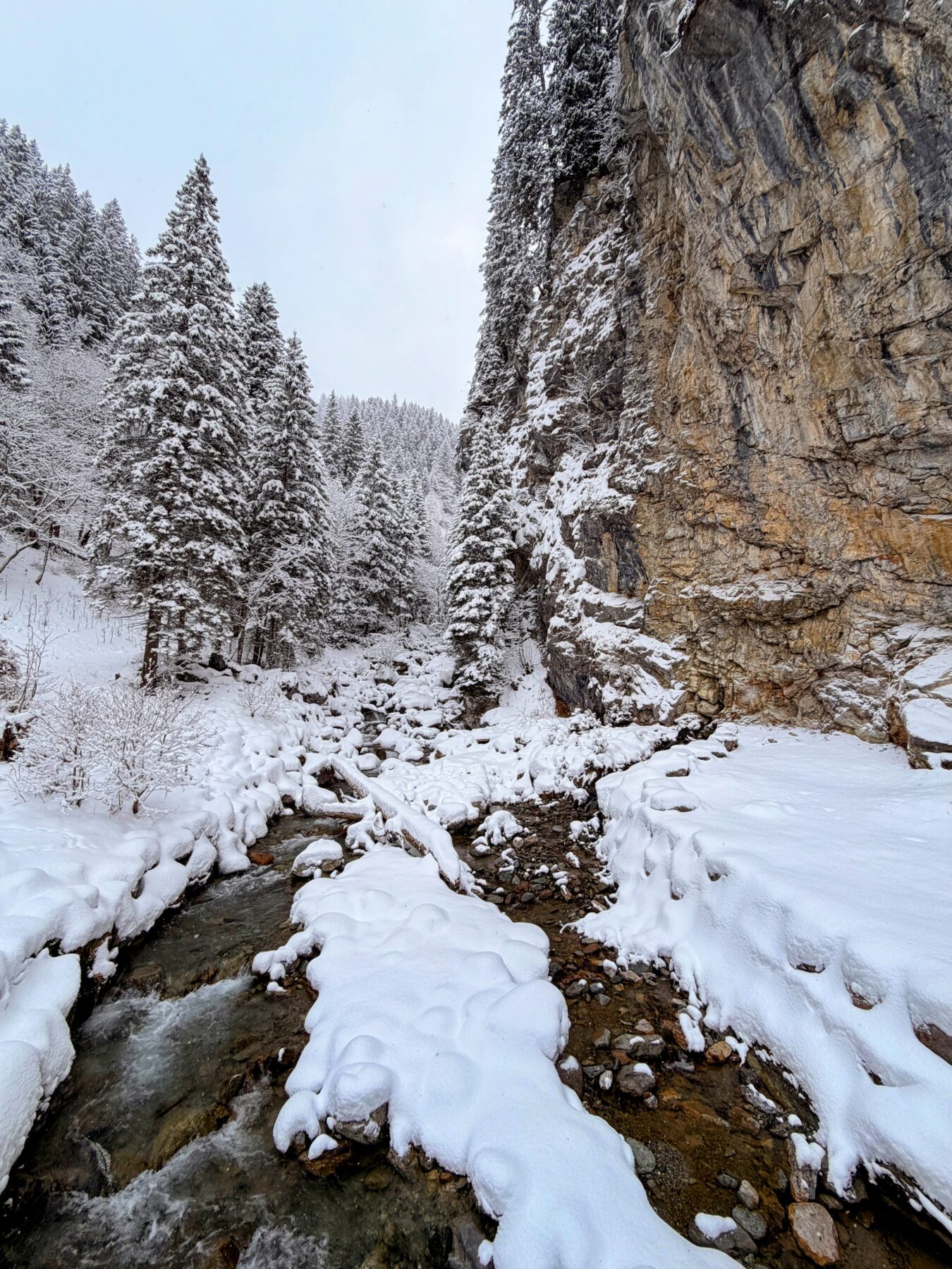 schneeschuhwanderung_klosters_schlappin__IMG_8875
