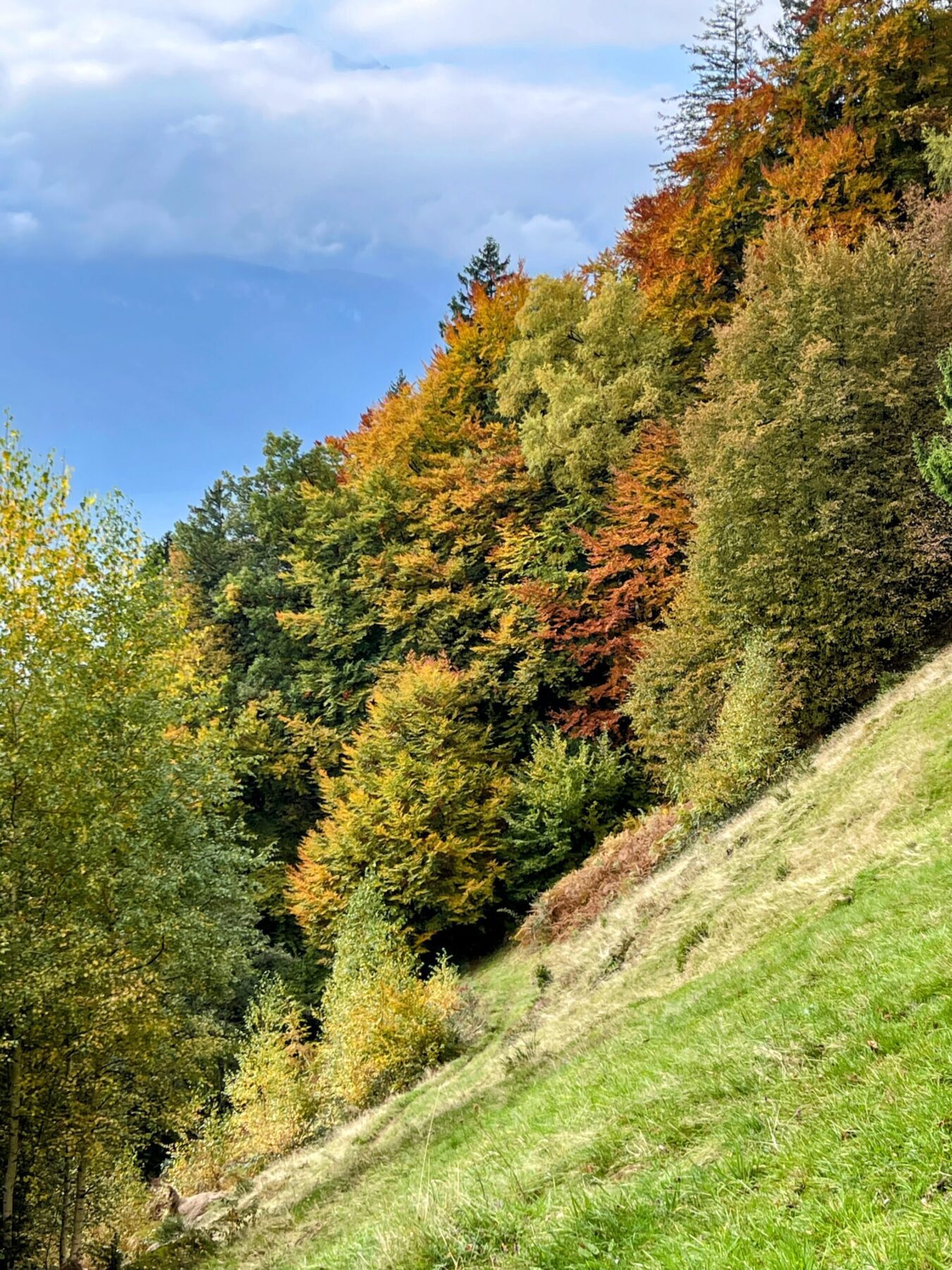 wanderung_rigi_hochflue_