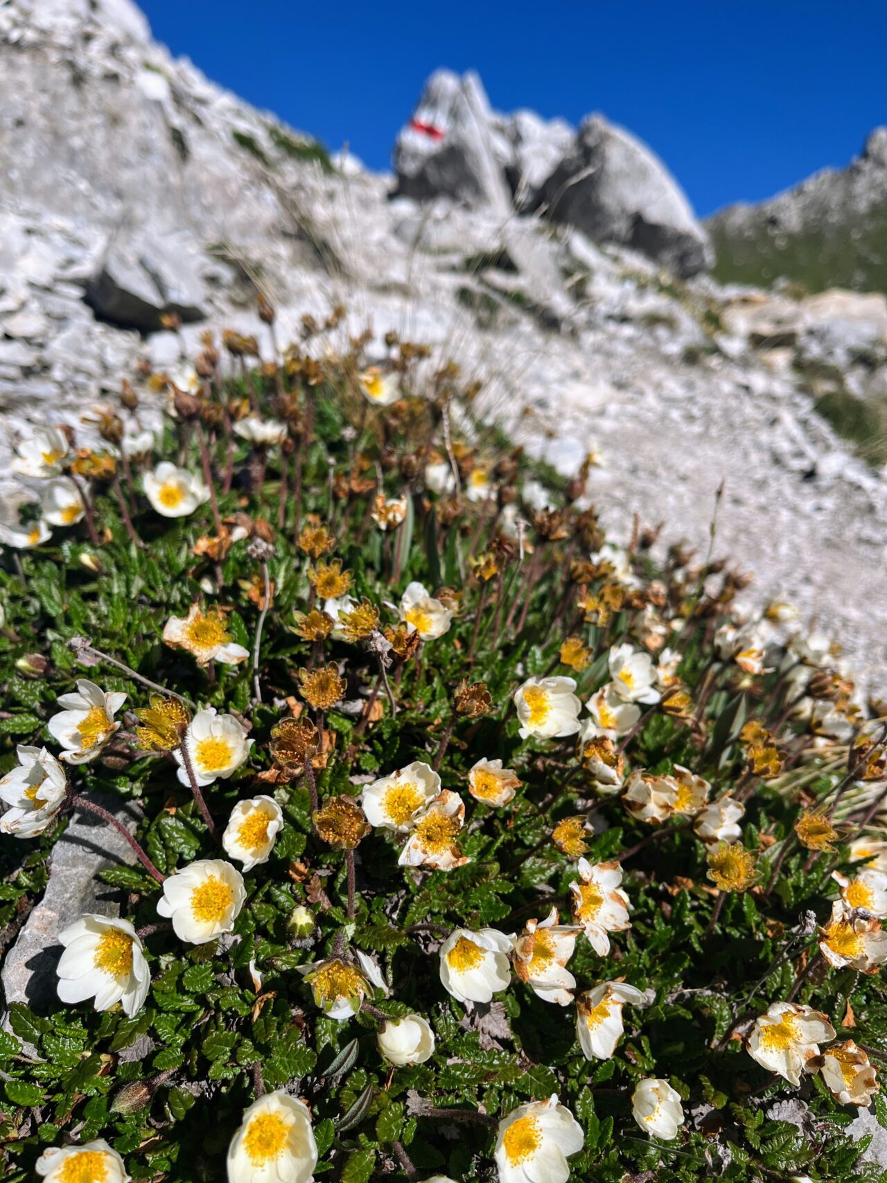wanderung_cufercalhütte_