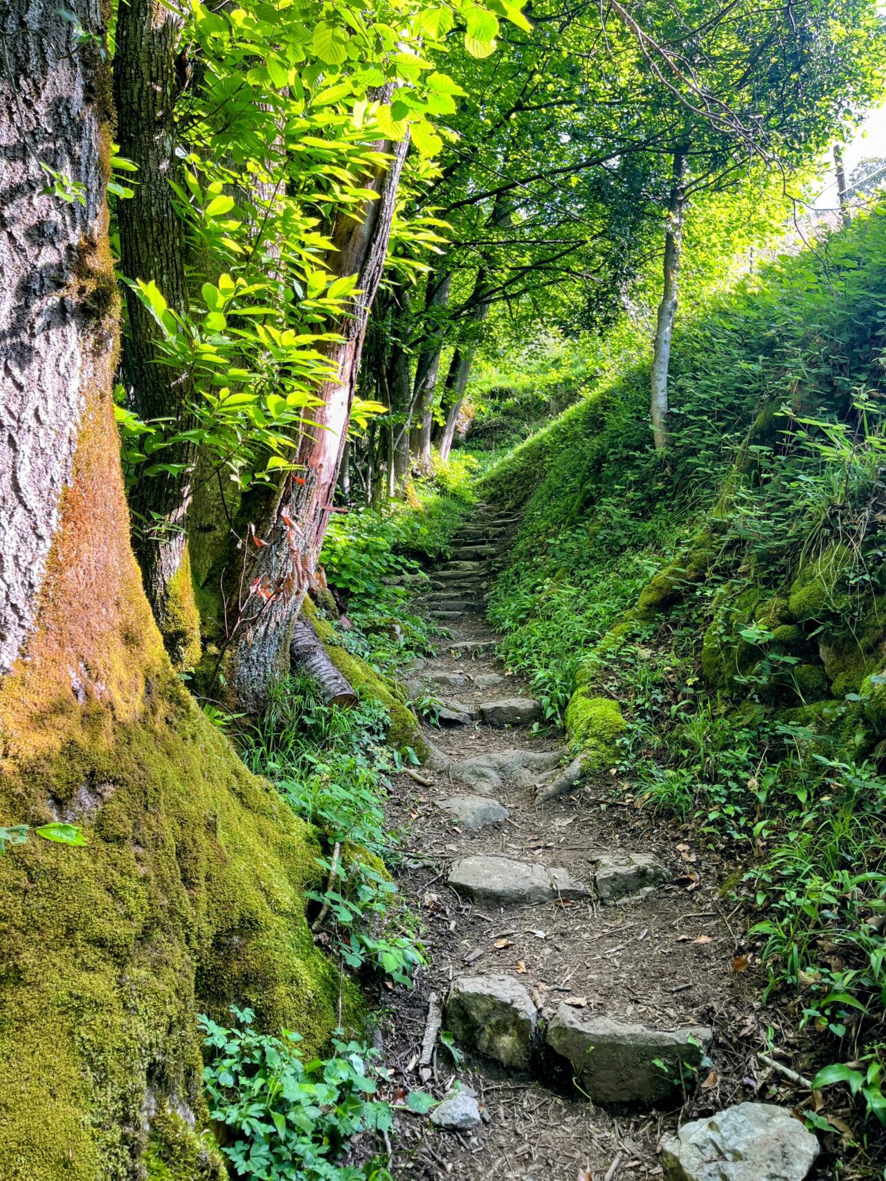 wanderung_brunnen_urmiberg_schwand_stockflue_