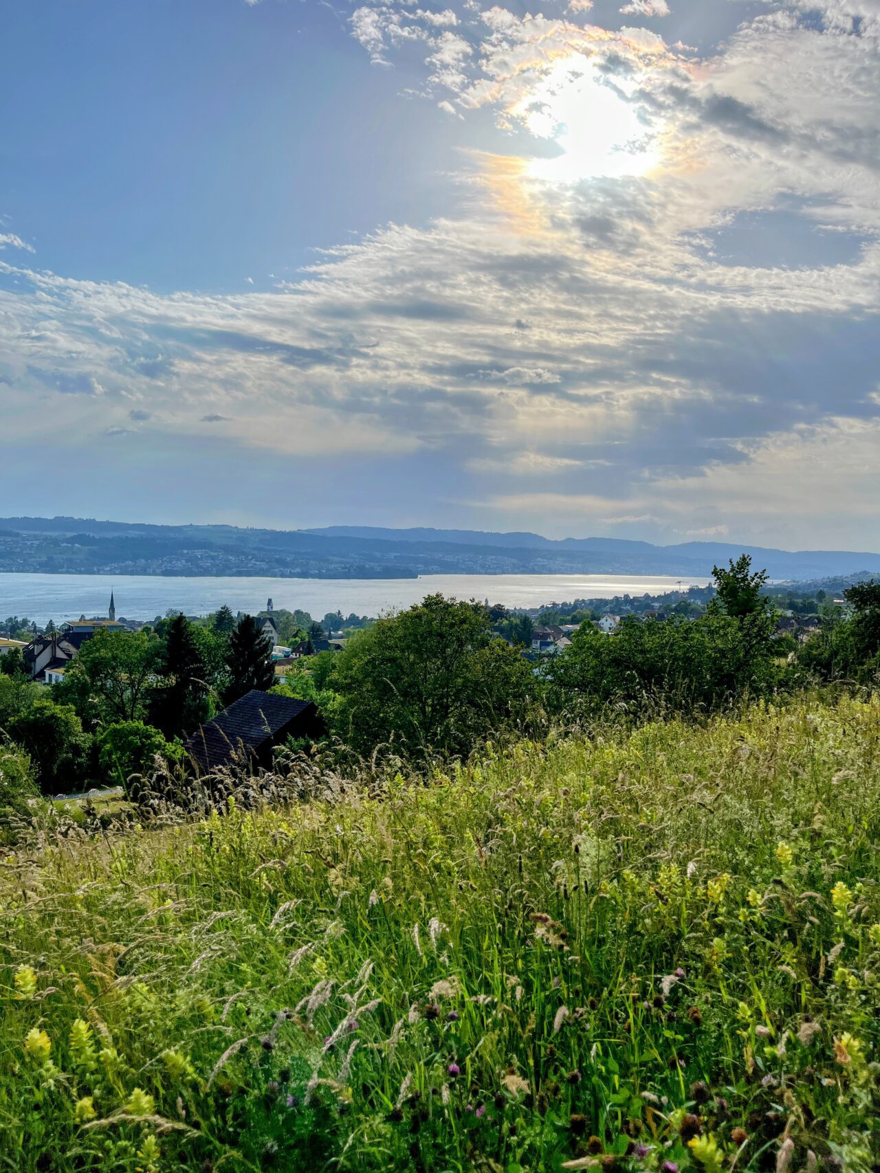 umrundung_zürichsee_schmerikon_stäfa_
