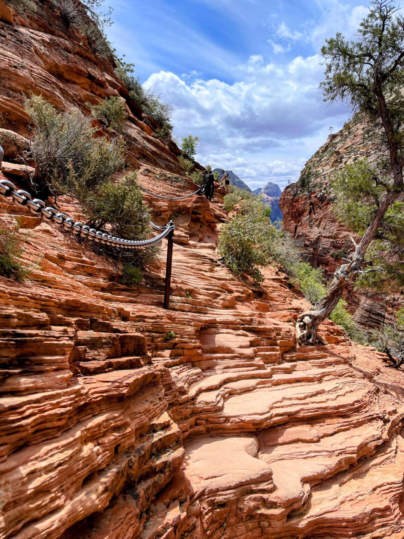 wanderung_zion_nationalpark_angels_landing_