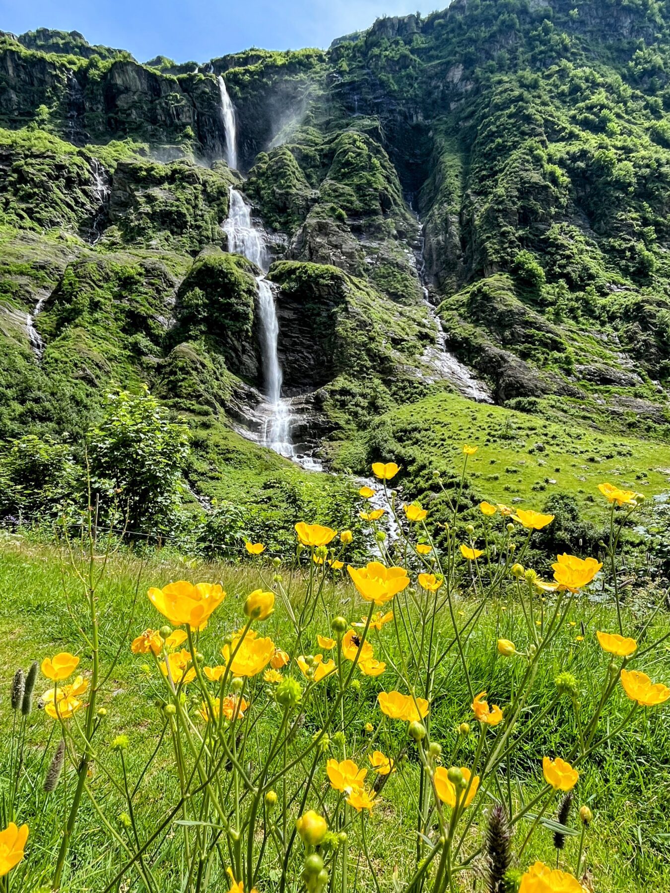 wanderung_bristen_hüfihütte_