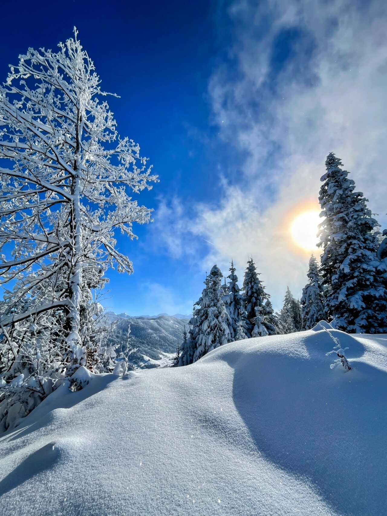 schneeschuhwanderung_rothenthurm_ahoren_biberbrugg__IMG_2386