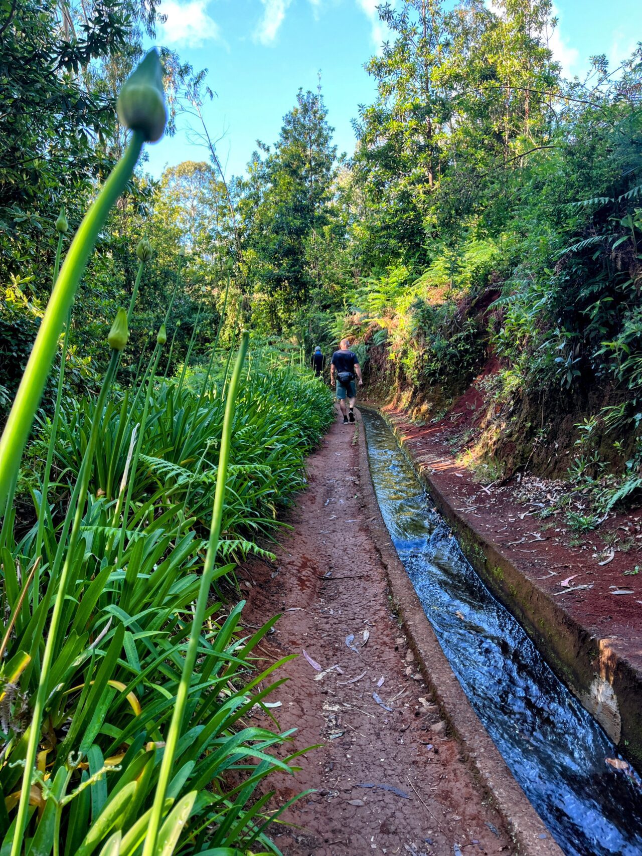 wanderung_levada_do_rei_pr18_