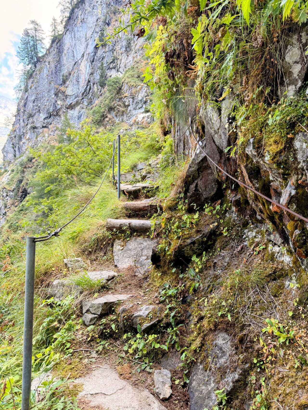 wanderung_sentiero_alpino_bregaglia_sciorahuette_sasc_furae_huette__IMG_0516
