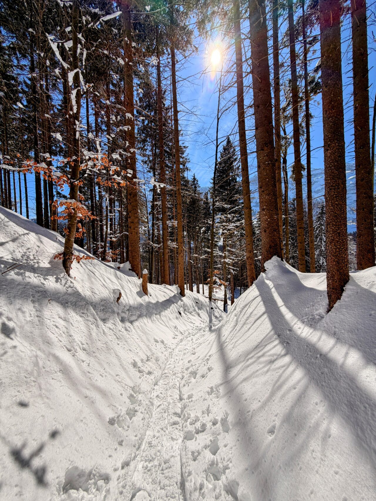 schneeschuhtour_lehmen_kronberg_chammhaldenhuette_schwaegalp__IMG_1332