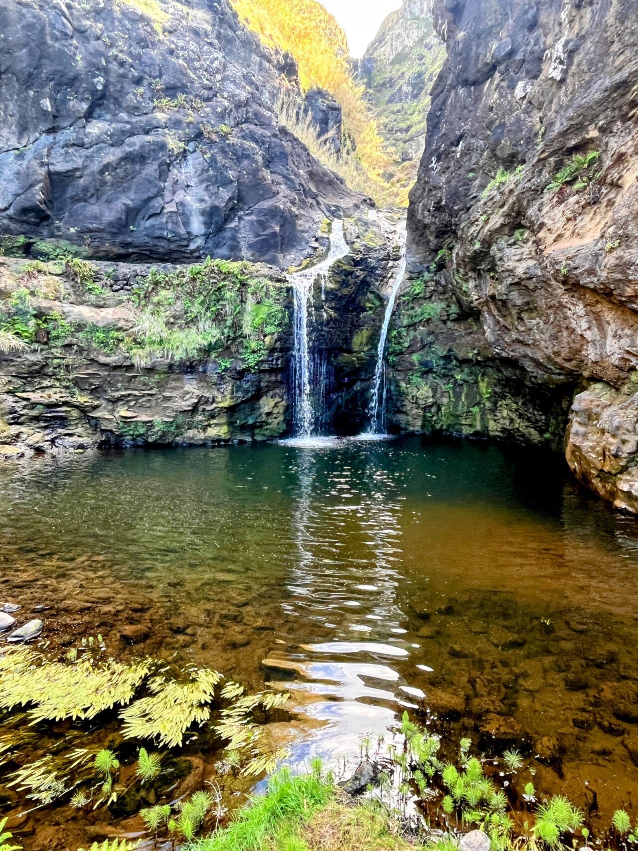 wanderung_ilha_a_pe_tag_4_norte_baia_do_raposo_