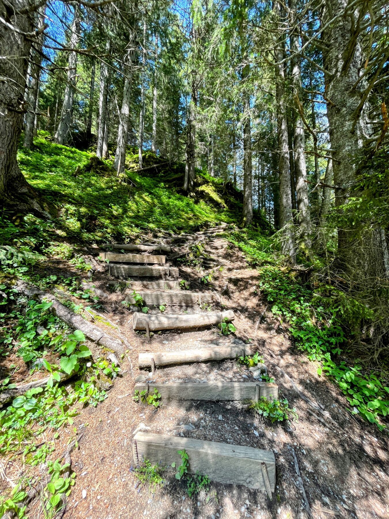 wanderung_via_alpina_meiringen_grindelwald_