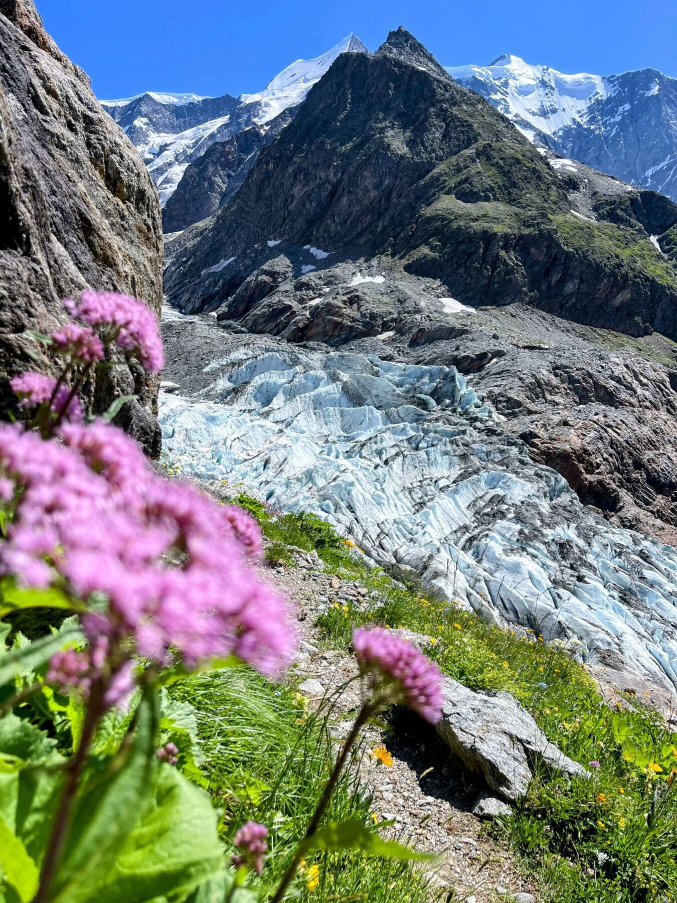 Wanderung_grindelwald_schreckhornhütte_