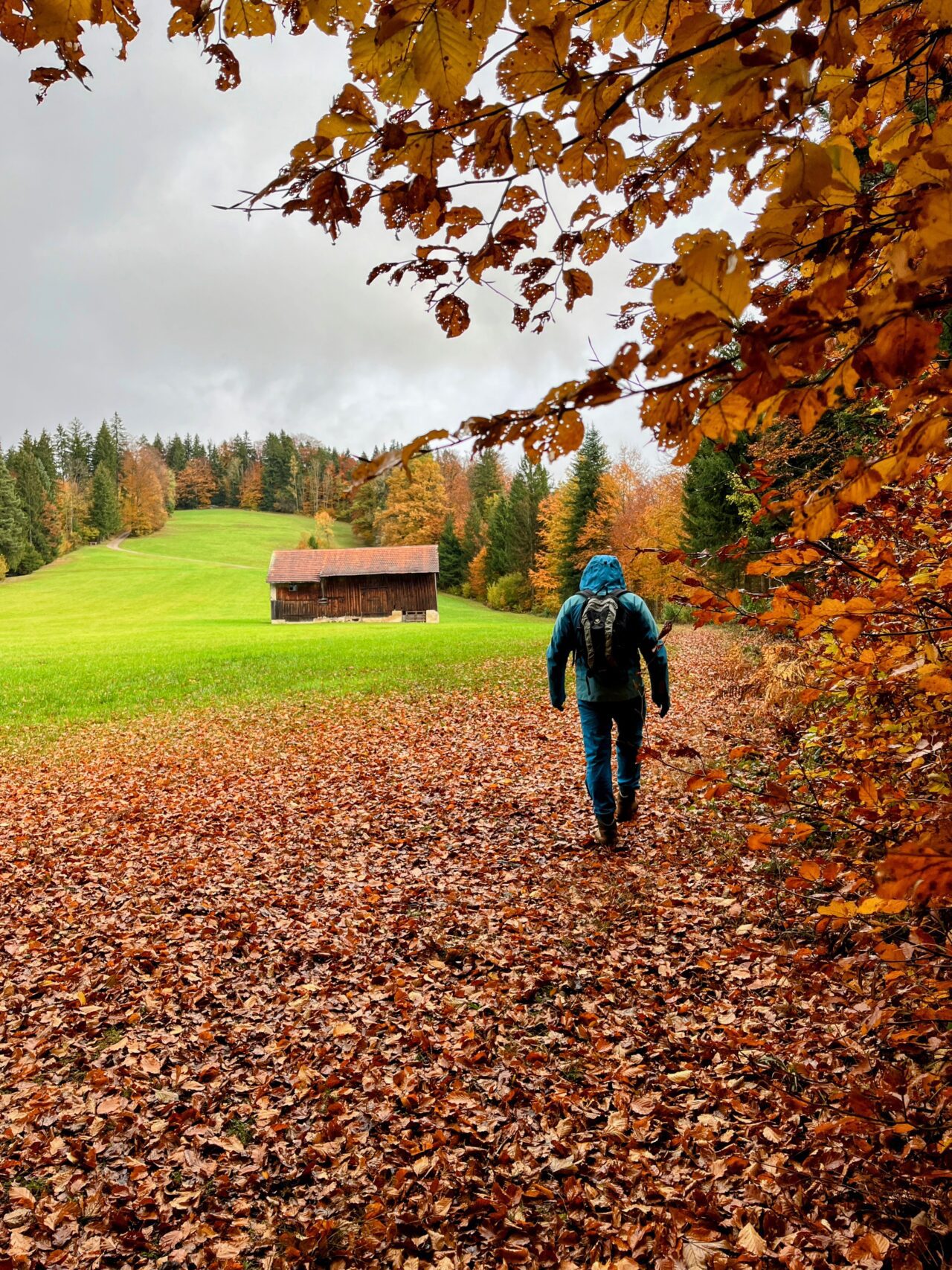 wanderung_hörnli_