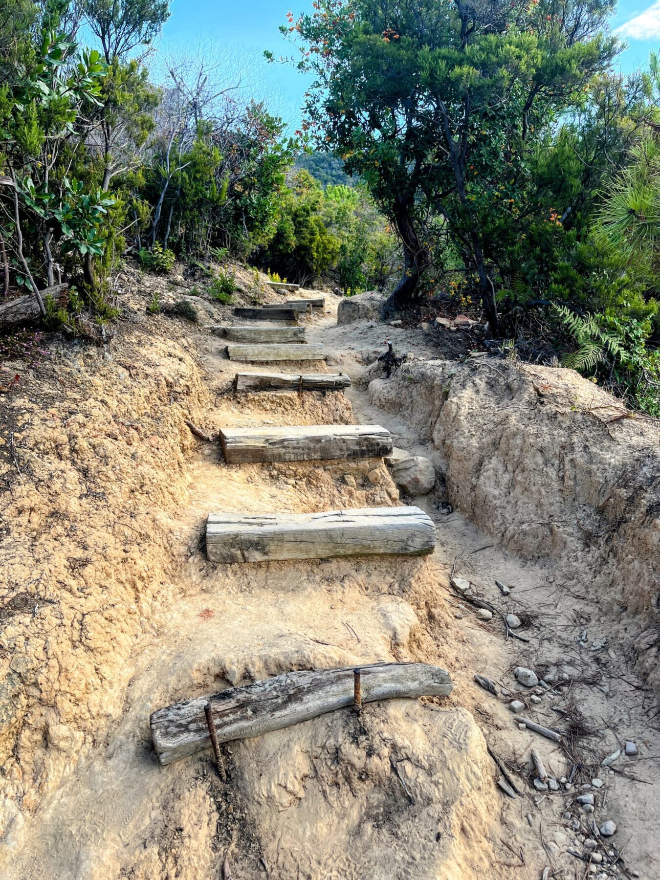 wandern_cinque_terre_
