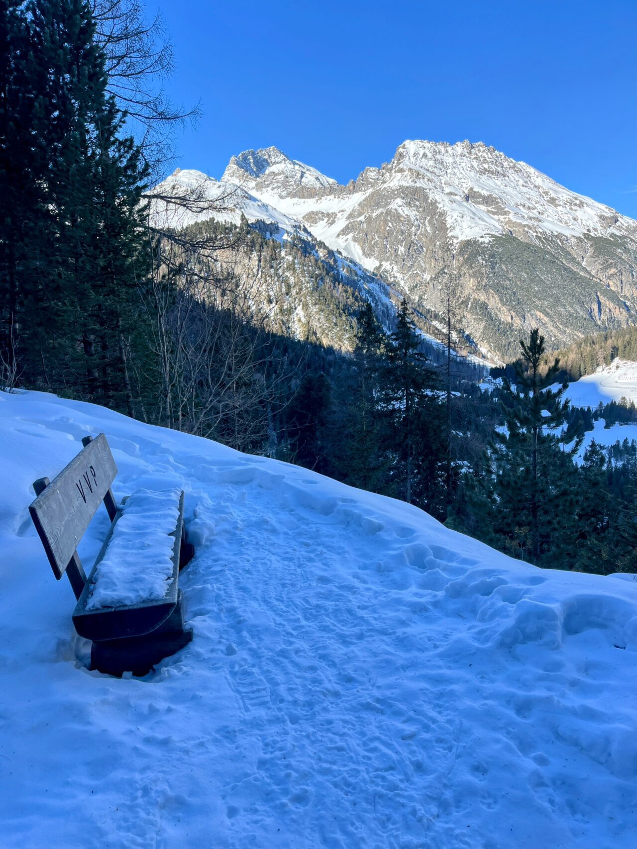 schneeschuhwanderung_preda_albulapass_punt_