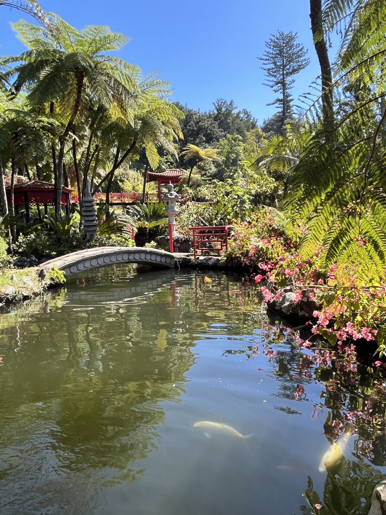 wanderung_monte_botanischer_garten_funchal_