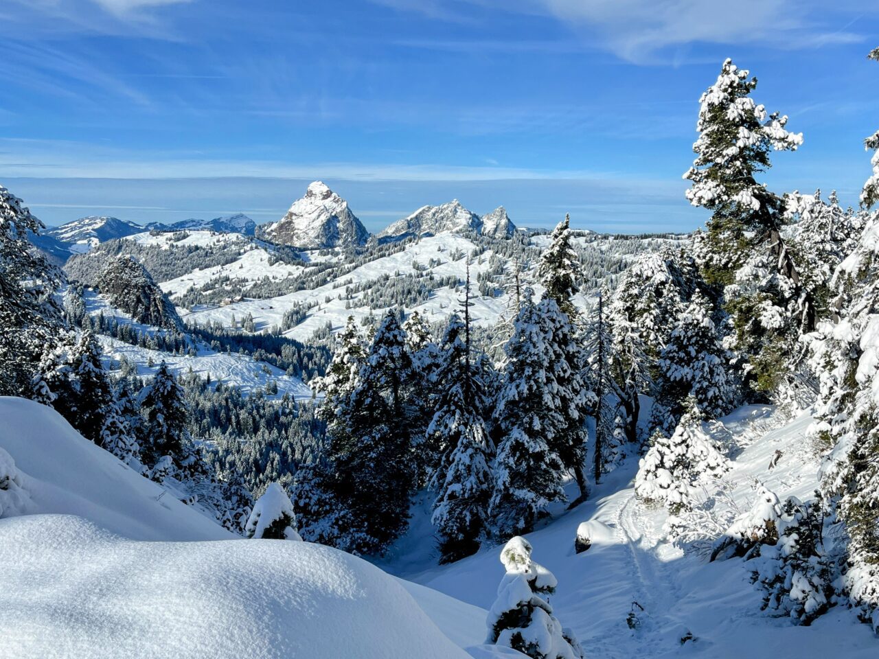 schneeschuhtour_laucherenstoeckli_ibergeregg_brunni__IMG_5763