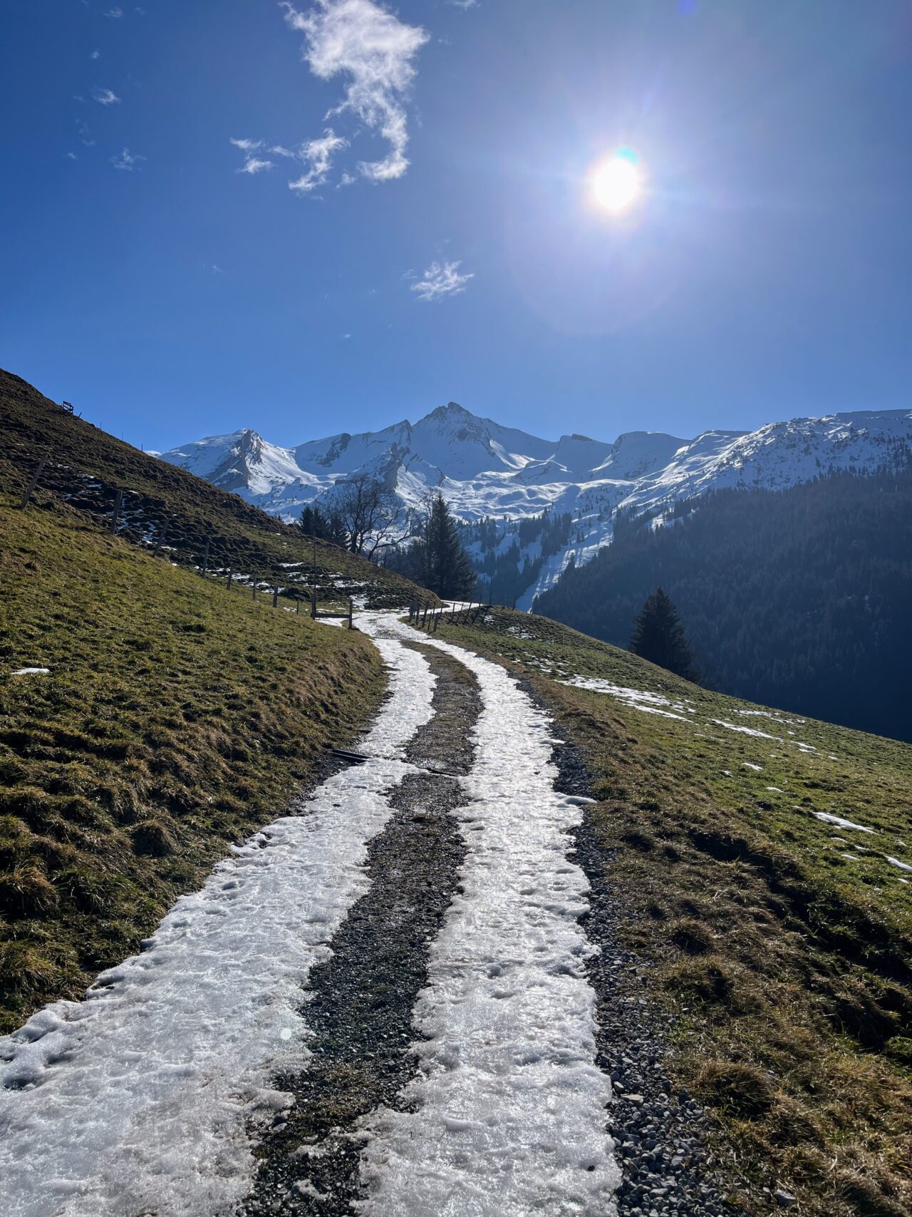 schneeschuhwanderung-brisenhaus-_IMG_0201