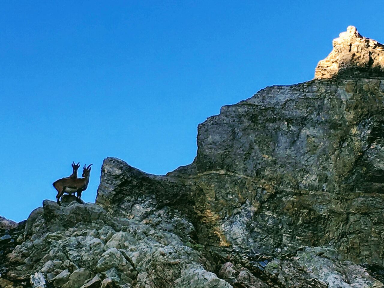 tour_du_dents_du_midi