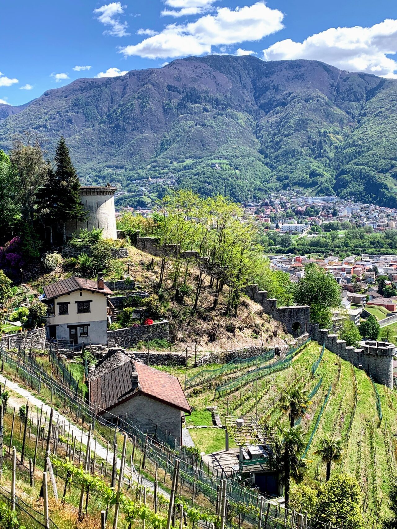 wanderung_tibetische_haengebruecke_carasc_