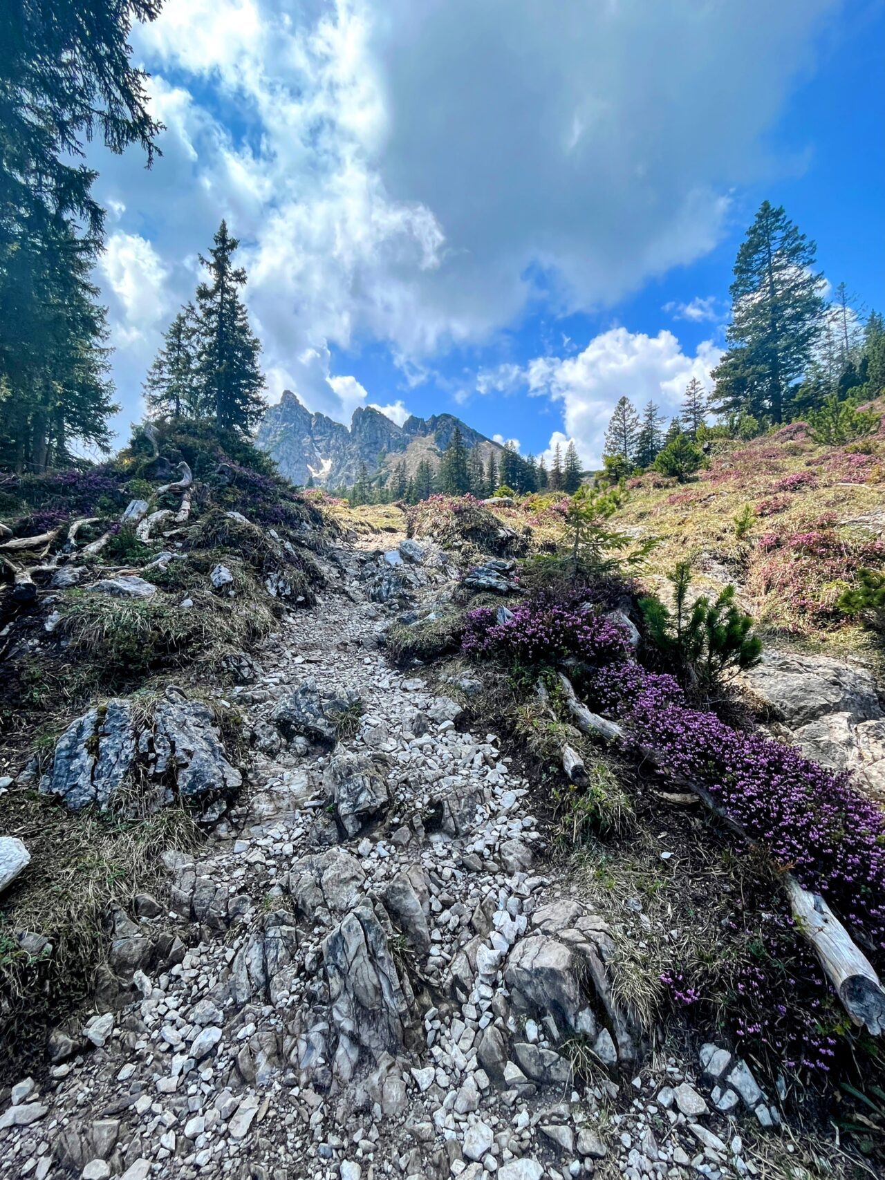 wanderung_mondstein_