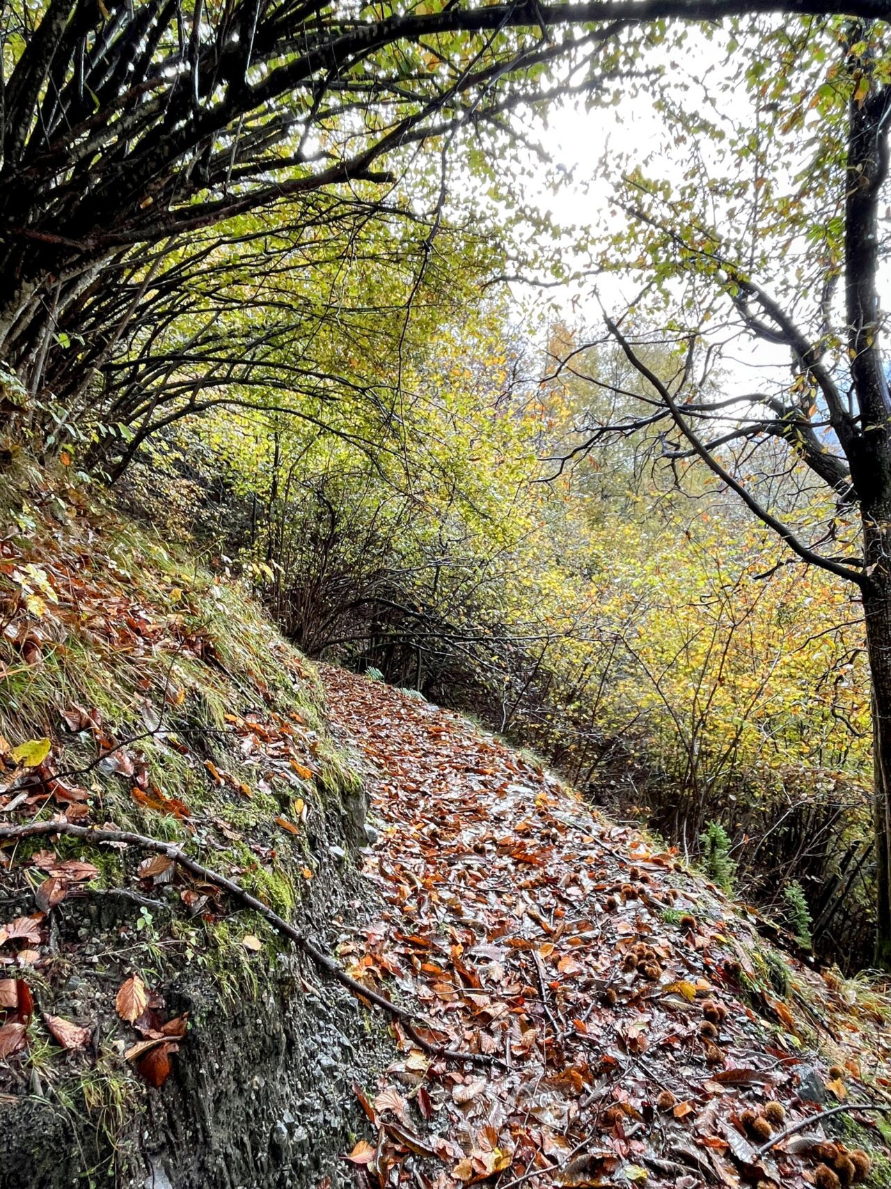 trans-swiss-trail-etappe-26-27-faido-biasca-