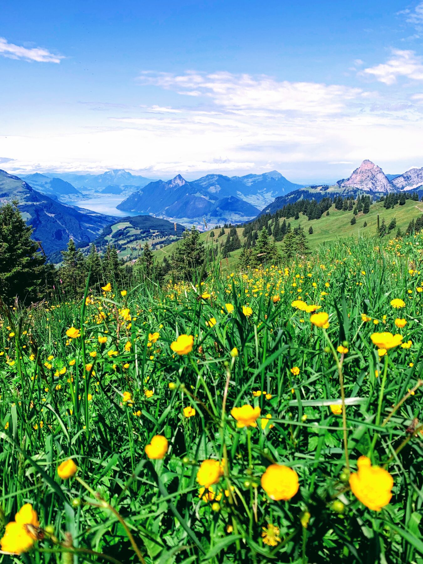 wanderung_7_egg_hoch_ybrig_