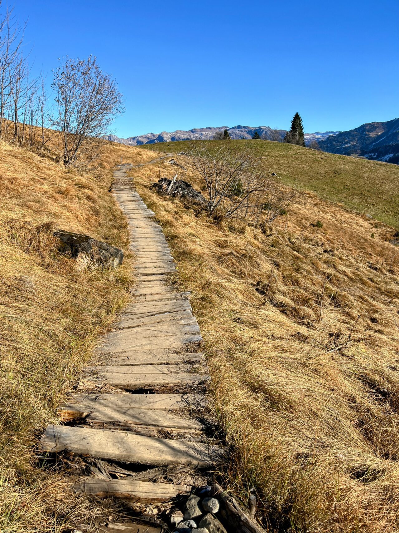 wanderung_oberblegisee_