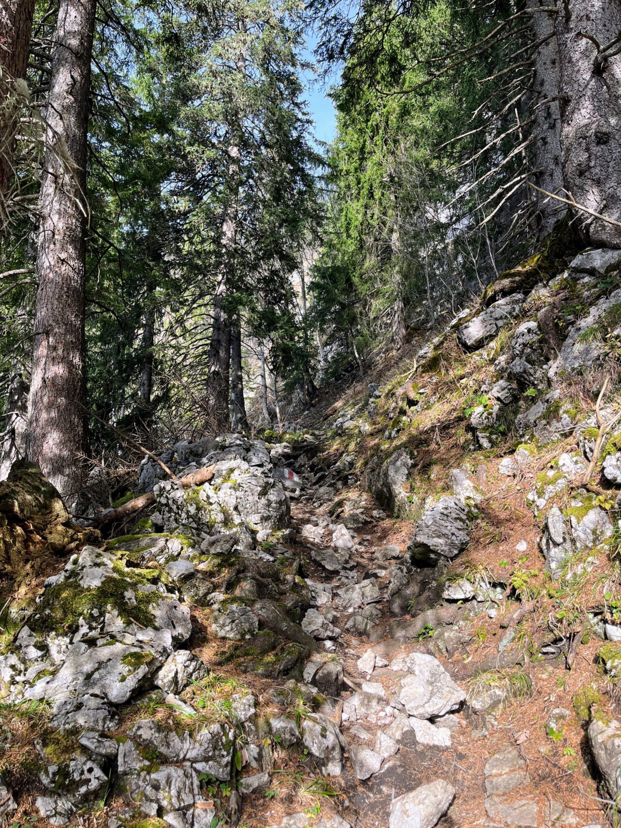 wanderung_waegitalersee_gross_aubrig_